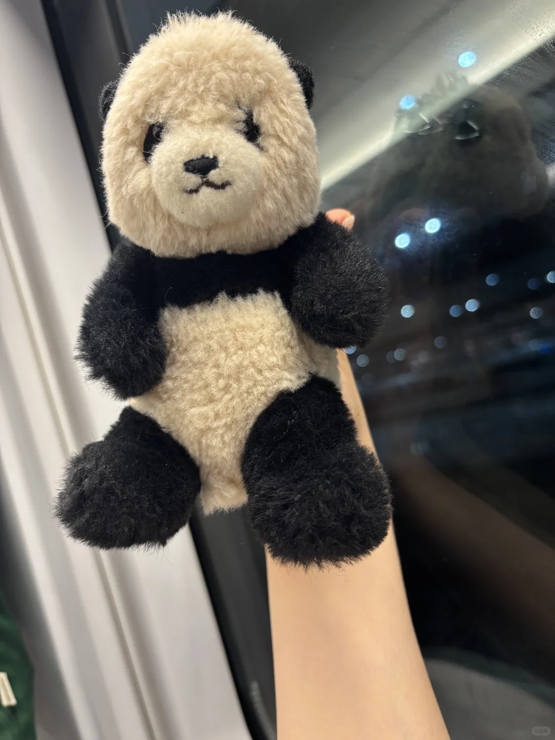 我又来到陌生的地方这里的话我一句也不会讲