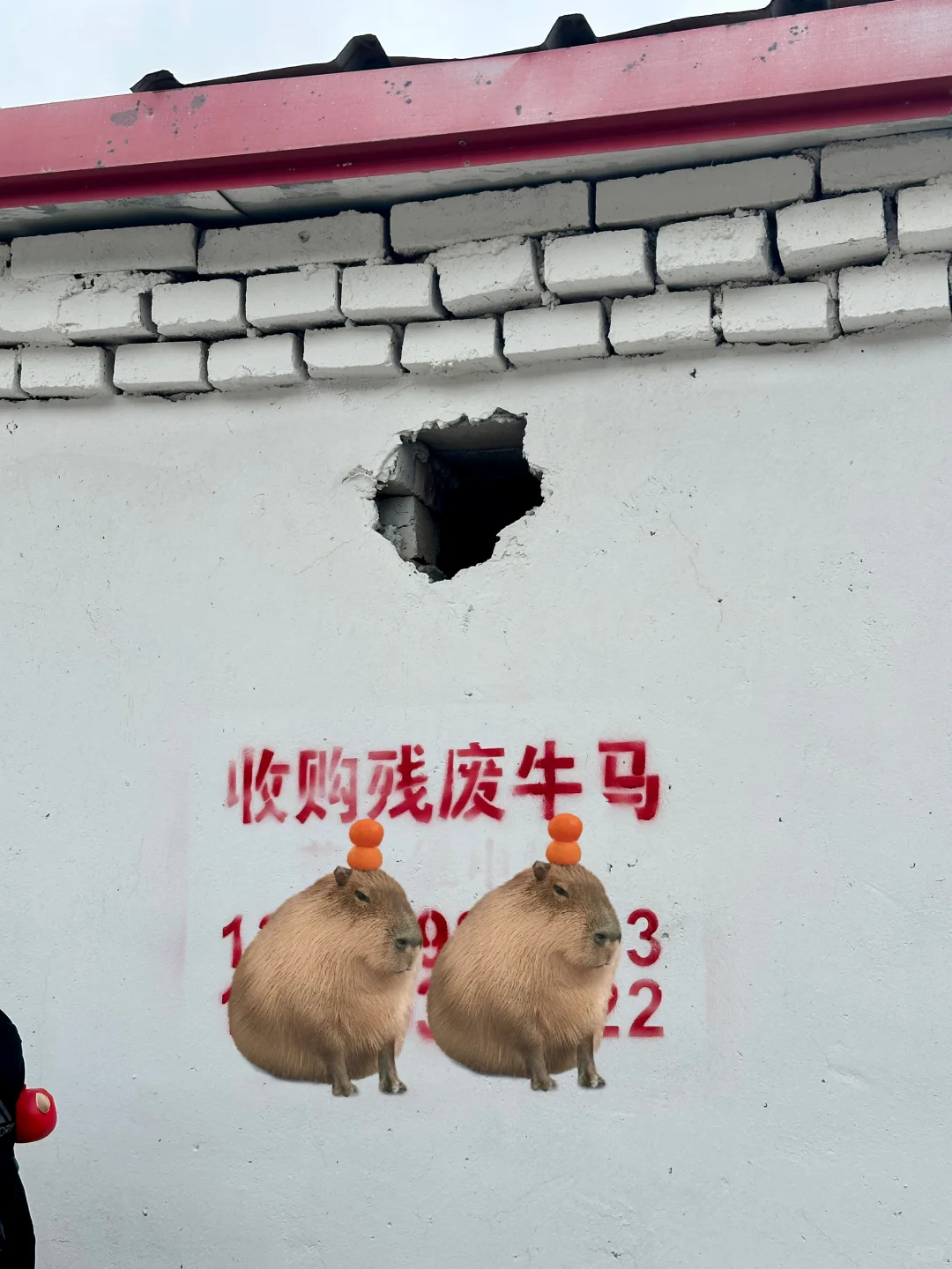 徒步崇礼，才发现“这么近那么美”不是骗人的