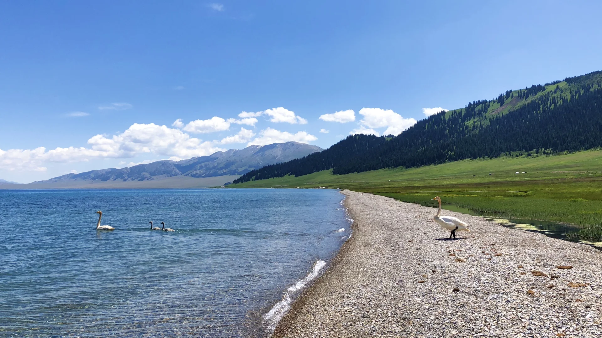 浅聊一下国内风景top4