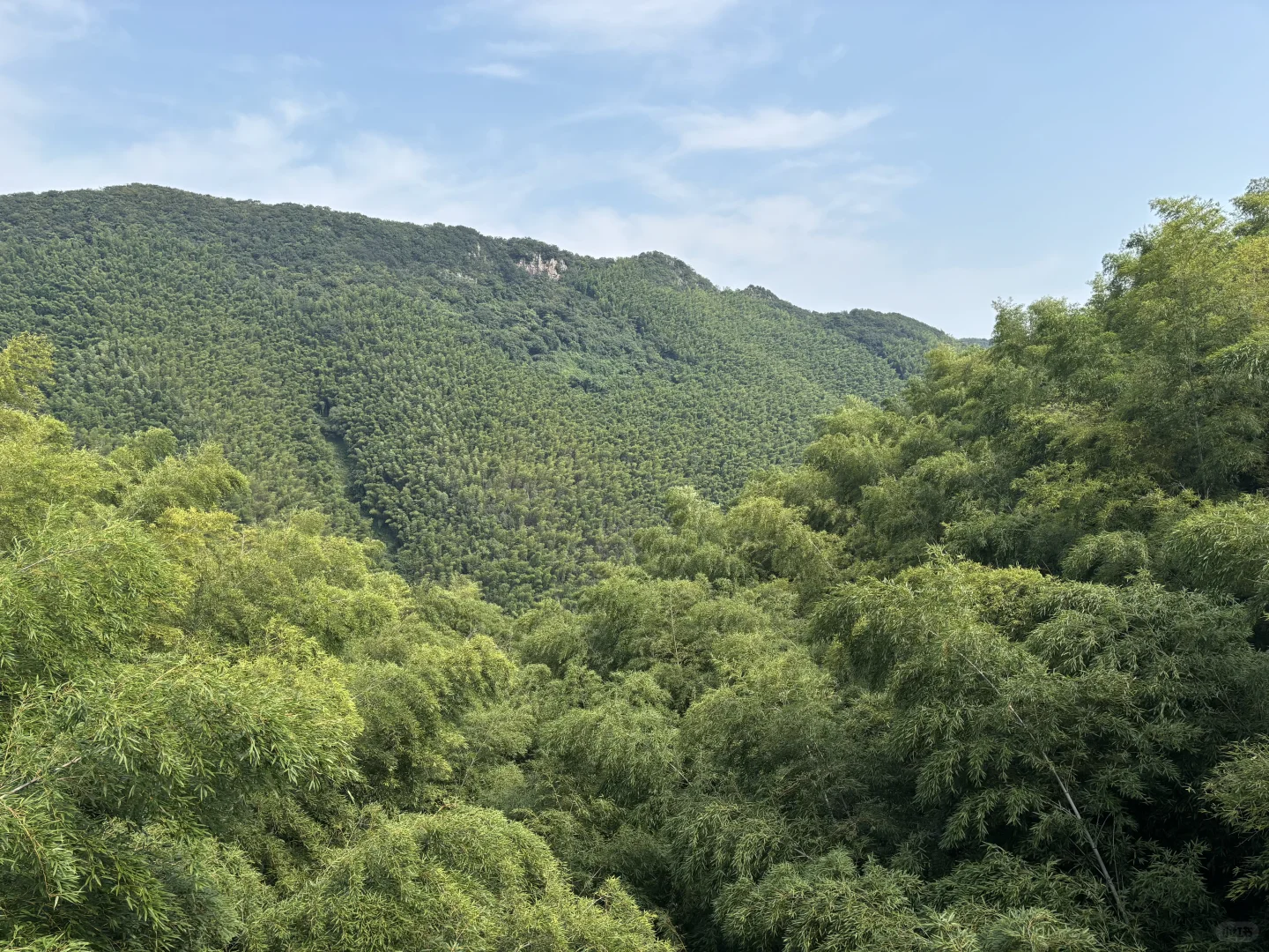 我又来到陌生的地方这里的话我一句也不会讲