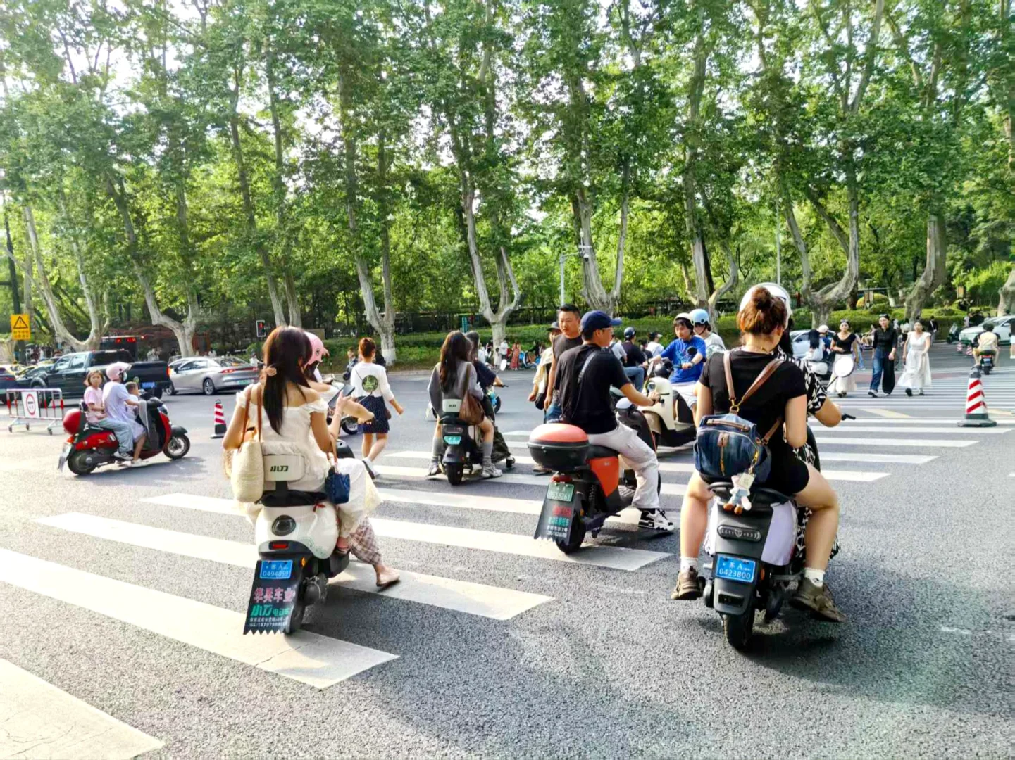 钟山风景区📍一日游🛵高效速通（电瓶车骑行）