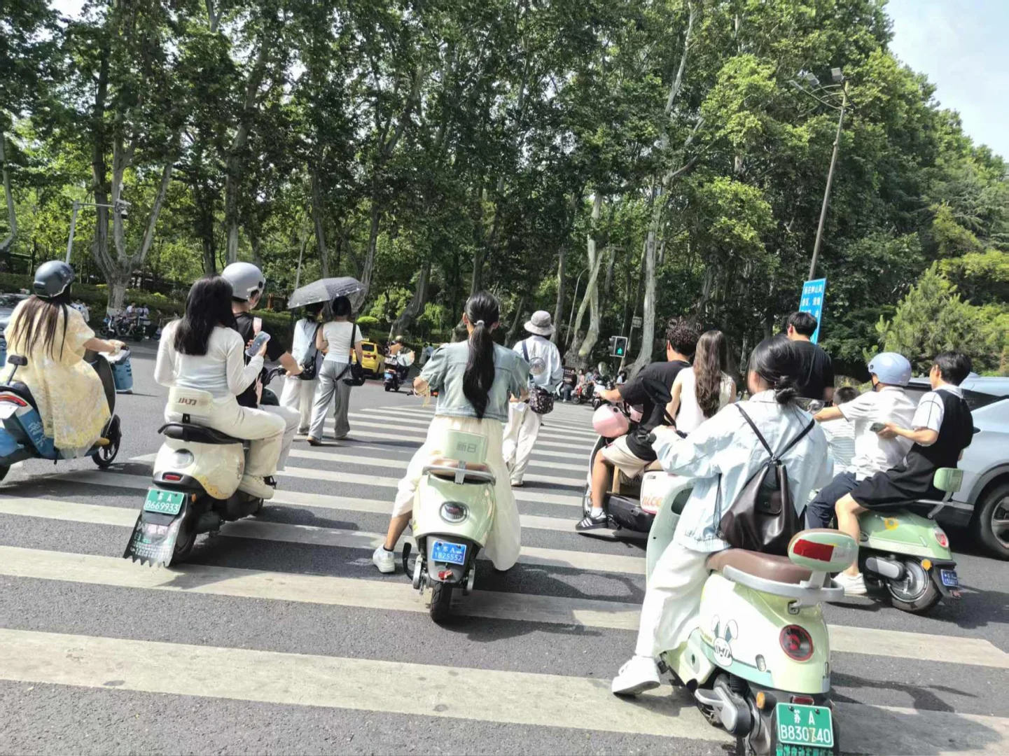 钟山风景区📍一日游🛵高效速通（电瓶车骑行）