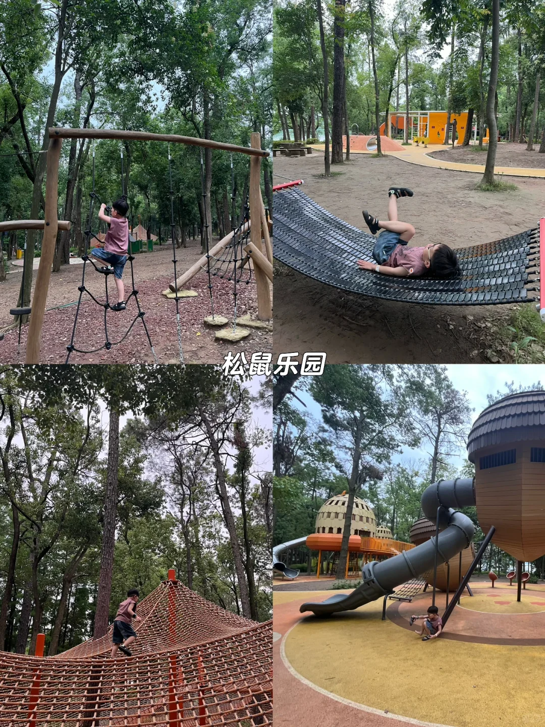 因为东湖 爱上武汉