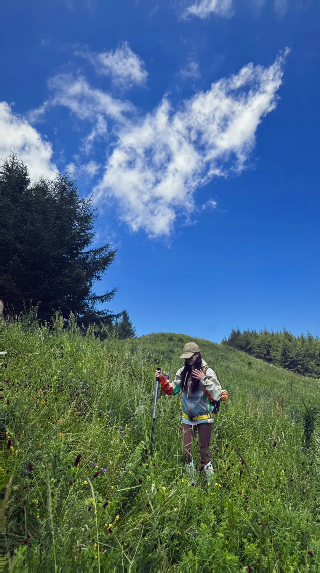 这么近 那么美 周末到河北⛰️