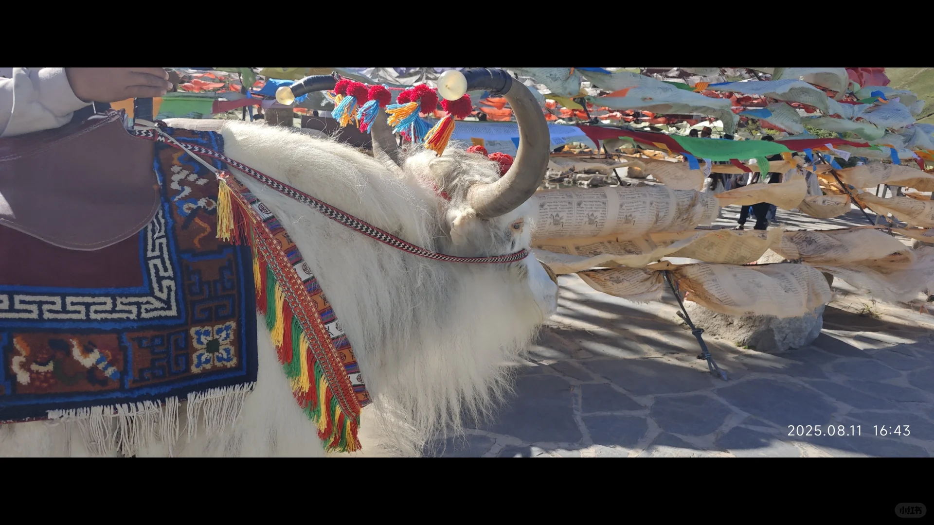 日月山 天晴原图直出版