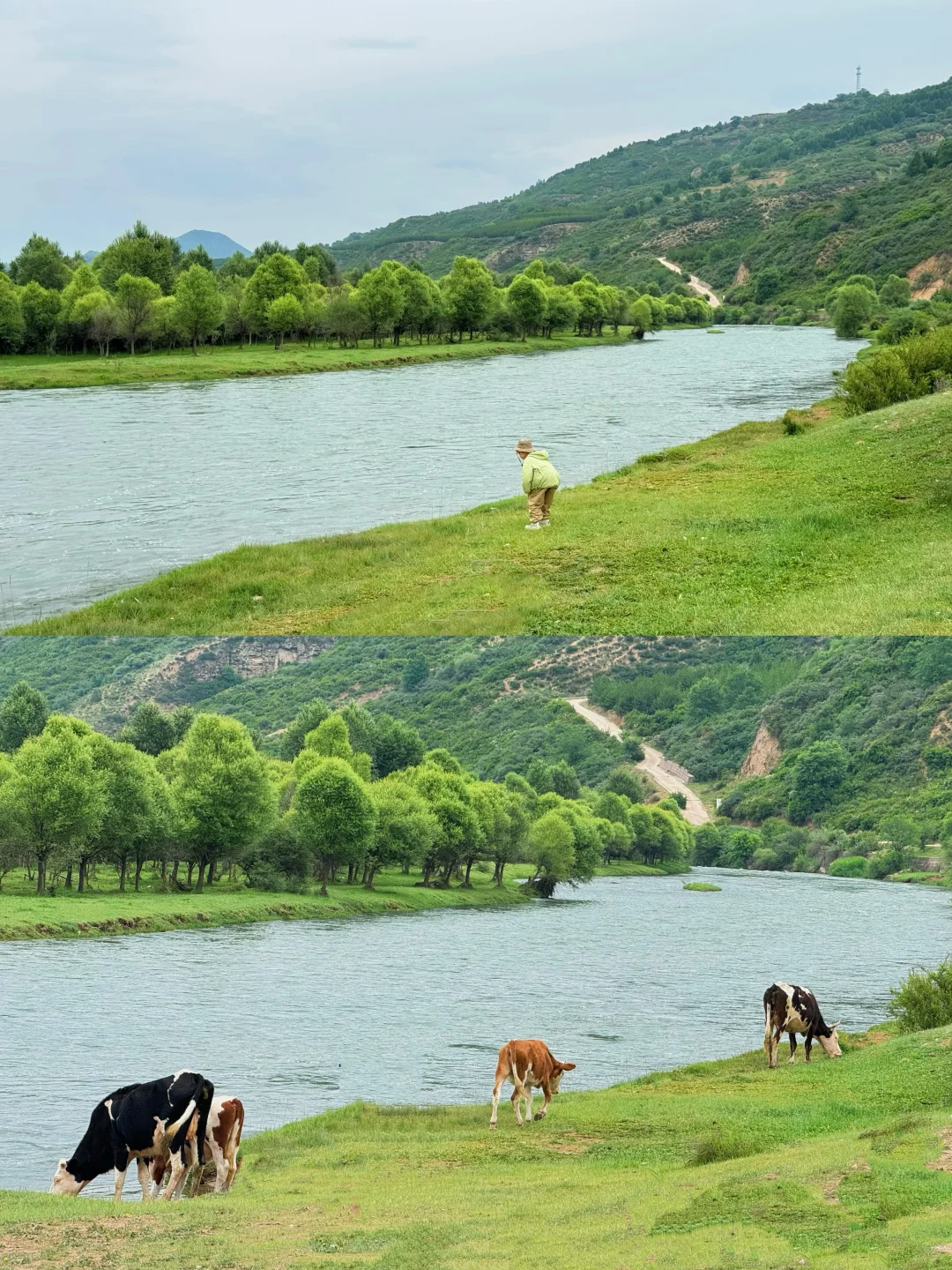 新线❗️西安3天2晚✅仿若“新疆那拉提”好凉快！