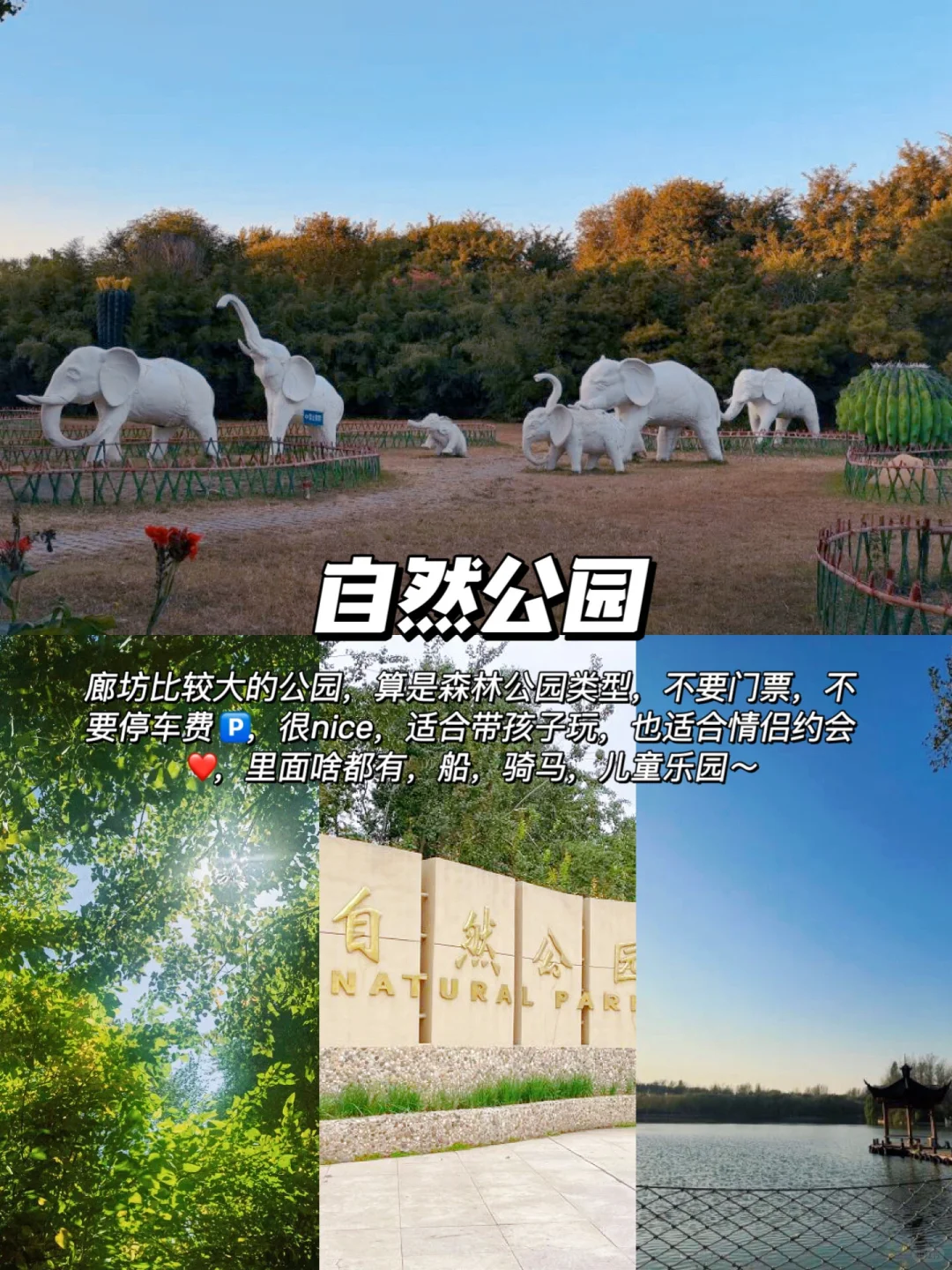 低预算远离人群🔥国内这座城太适合躺平发呆