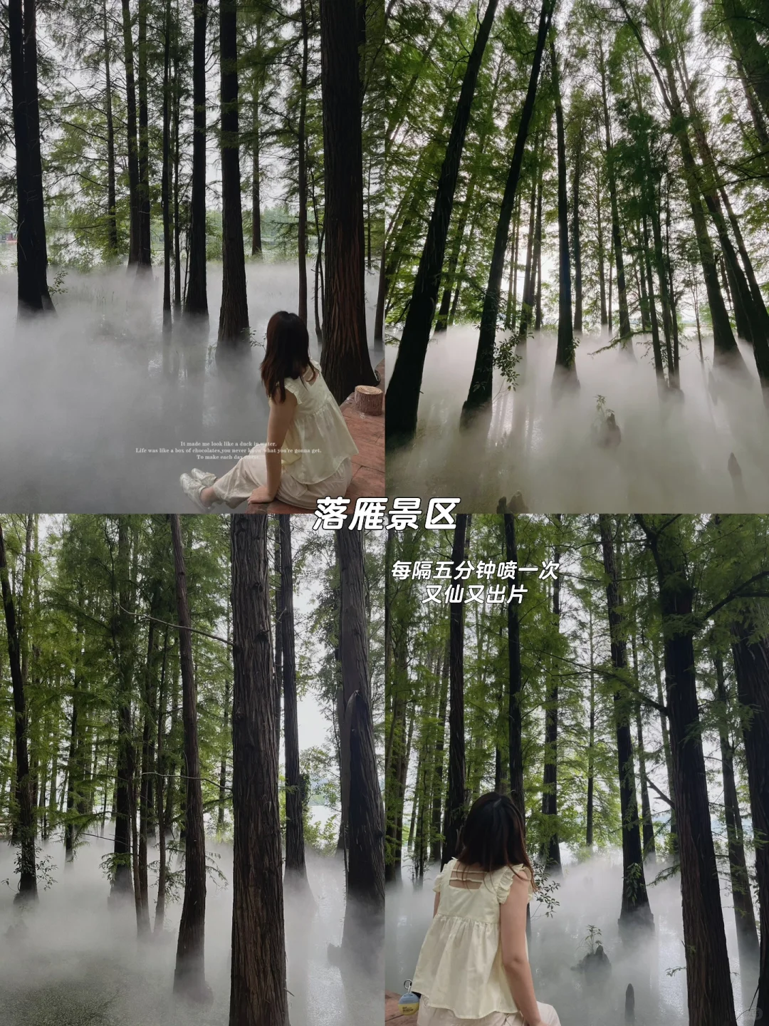 因为东湖 爱上武汉