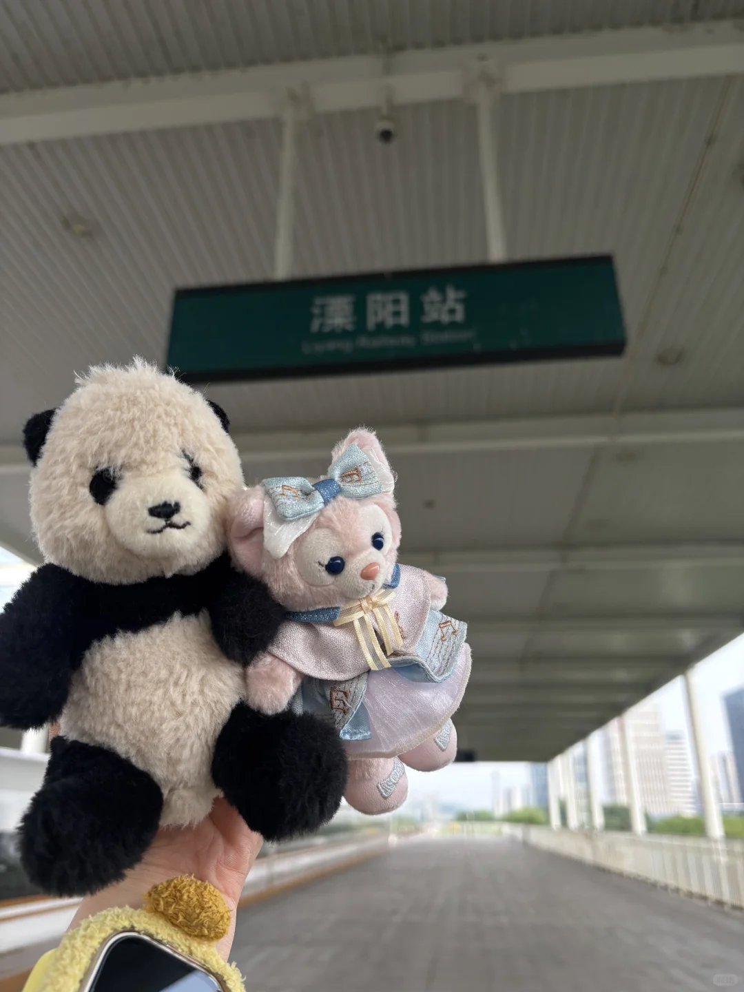 我又来到陌生的地方这里的话我一句也不会讲