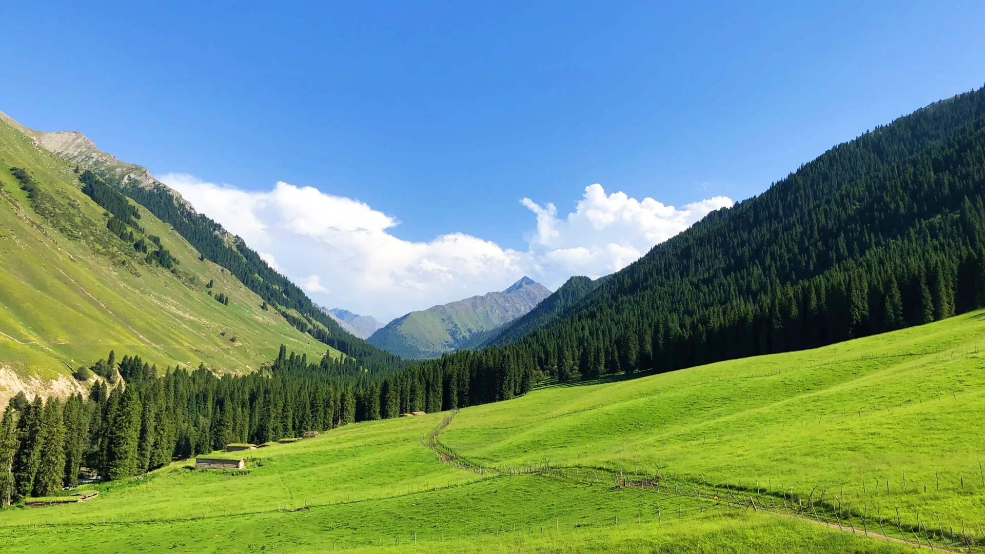 浅聊一下国内风景top4