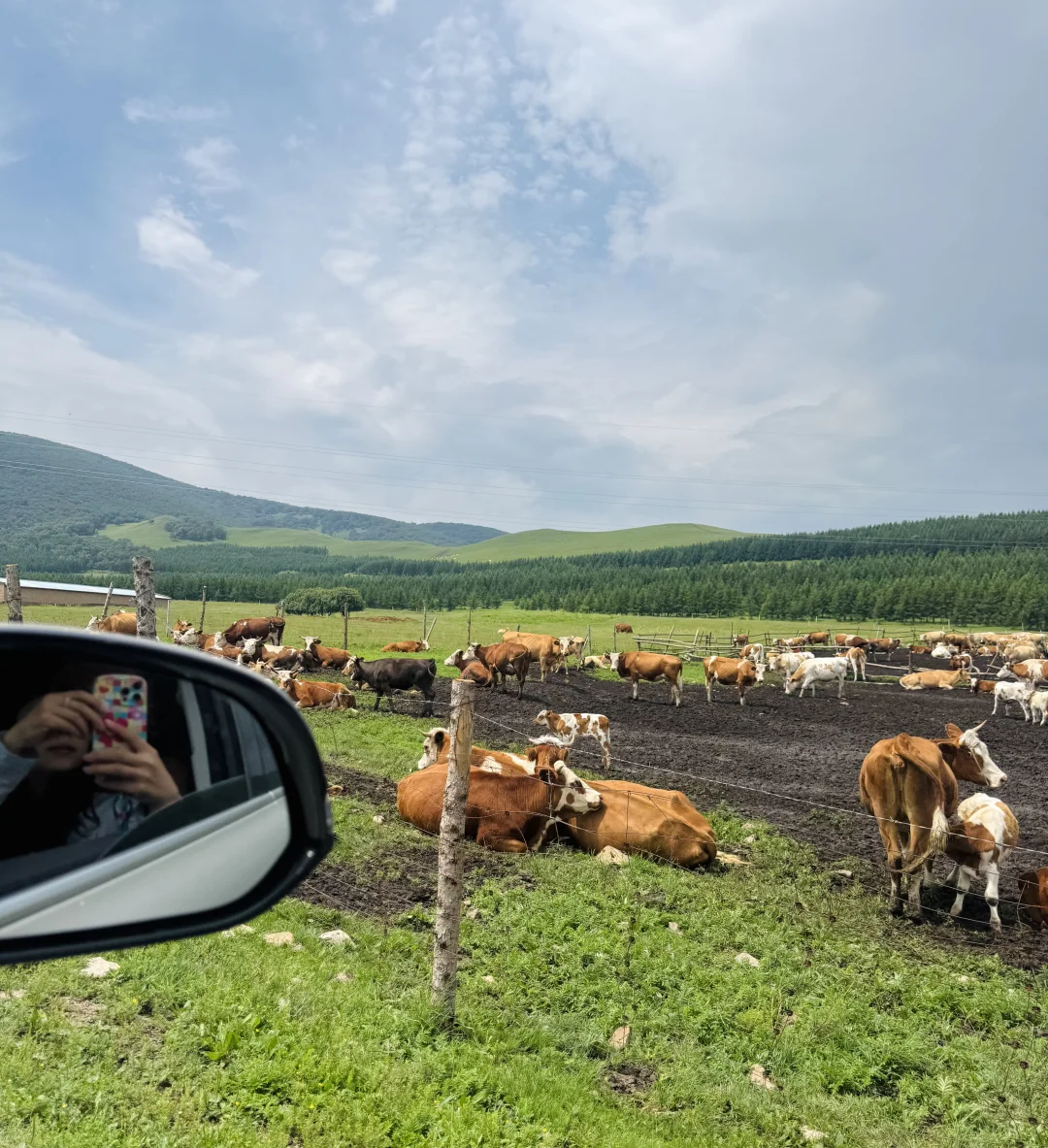 丰宁，半虎线（免费版）