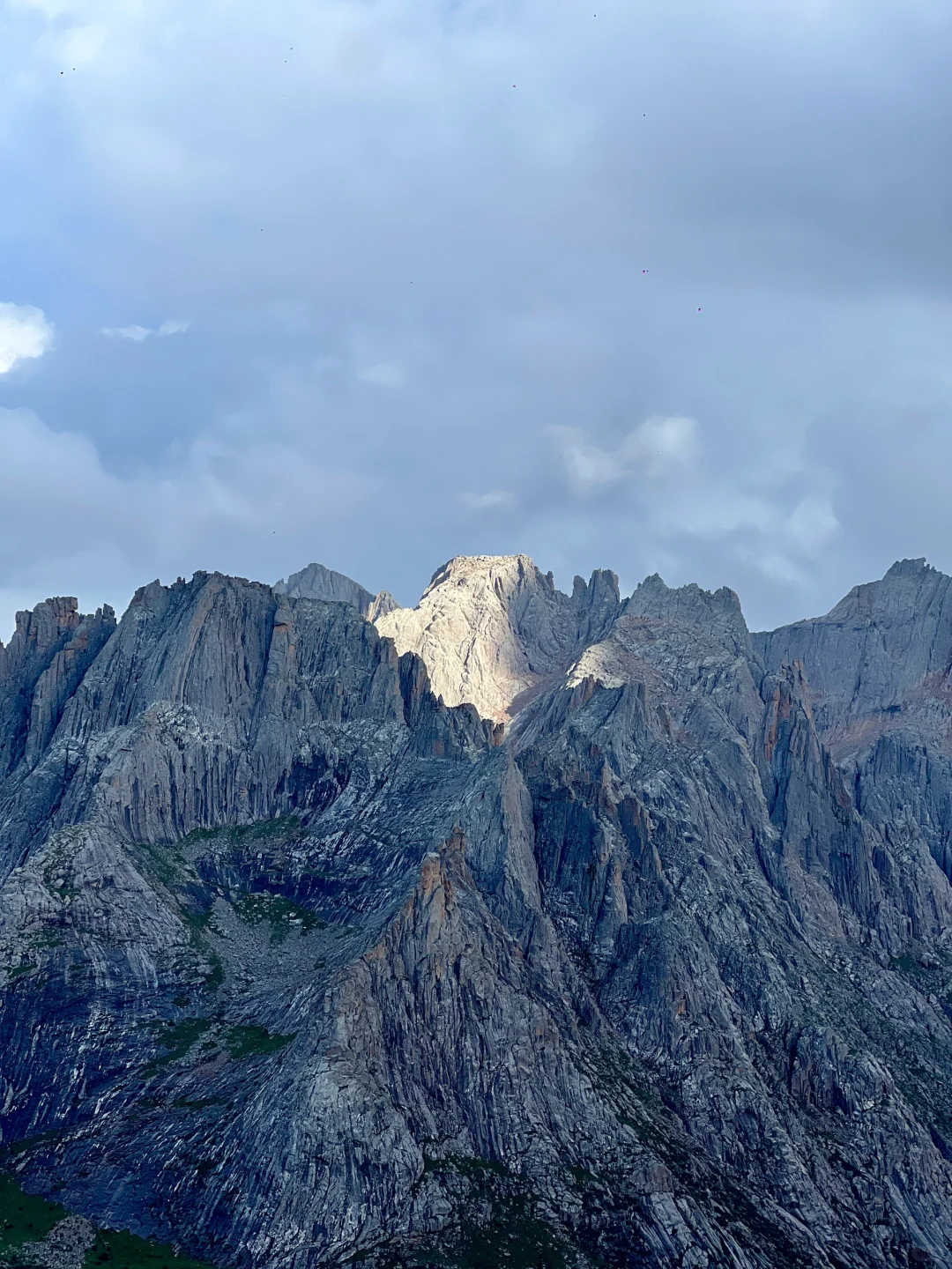一天经历了莲宝叶则春夏秋冬