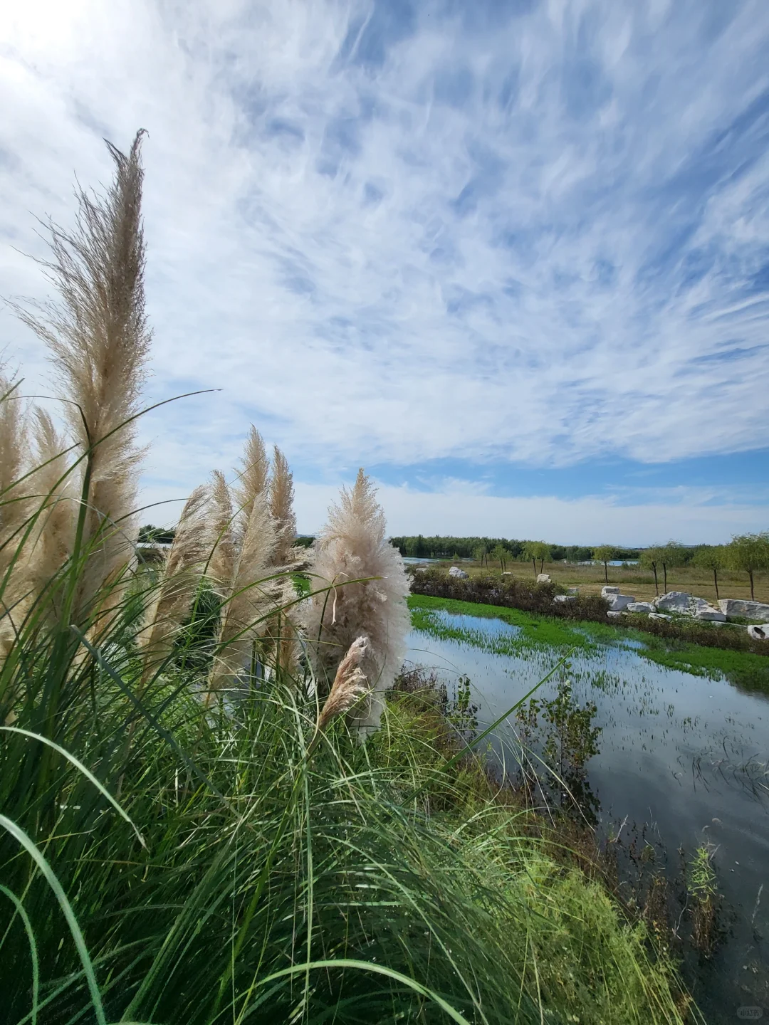 避开人流来这里～邯郸溢泉湖环湖美景