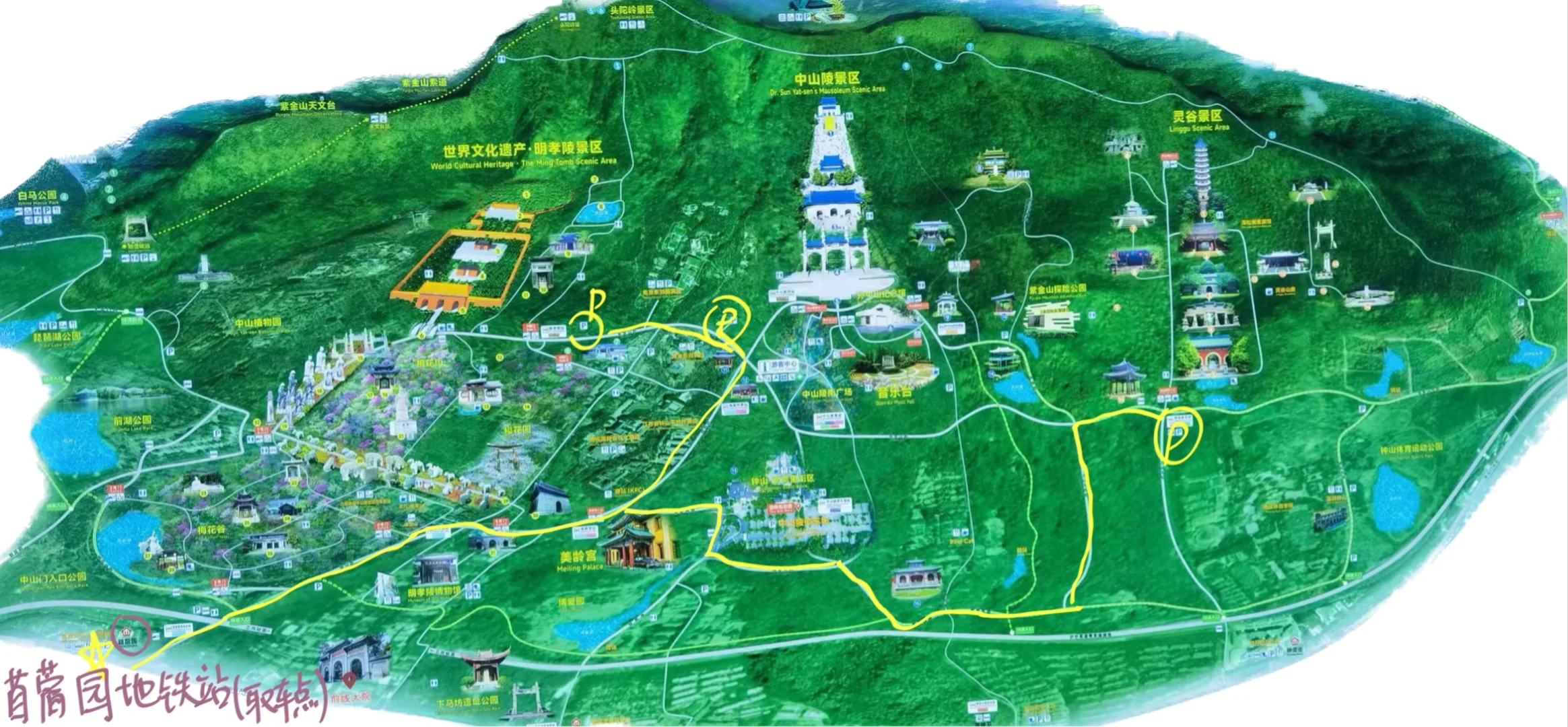 钟山风景区📍一日游🛵高效速通（电瓶车骑行）