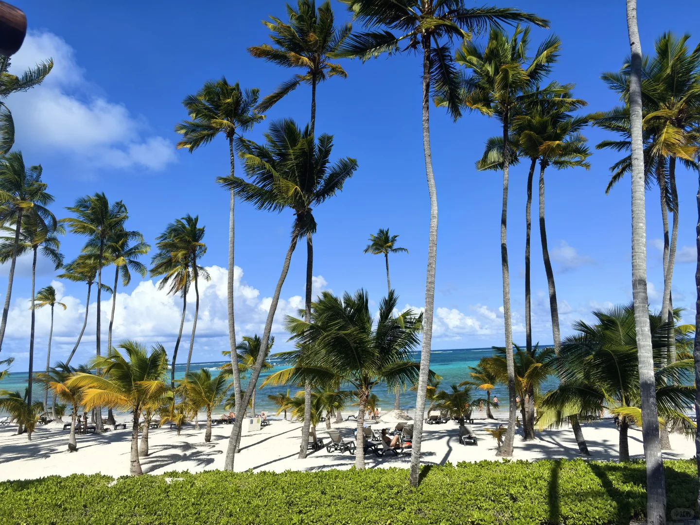 多米尼加、特立尼达及多巴哥---拉美旅游31