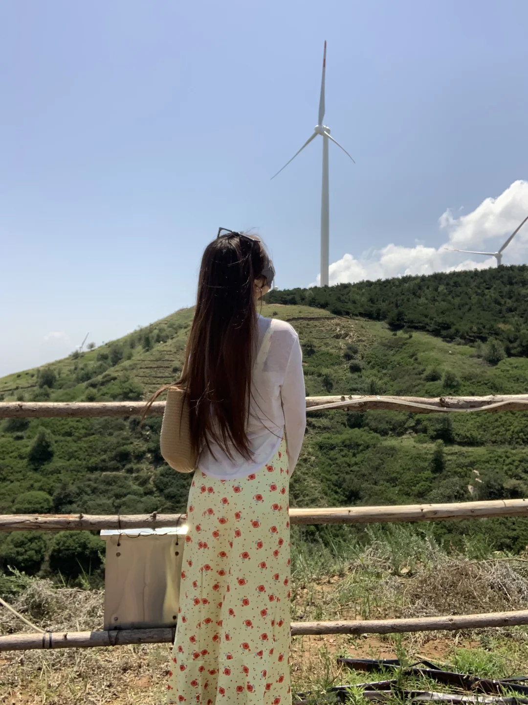 三门峡竟然有这么好看的地方！！