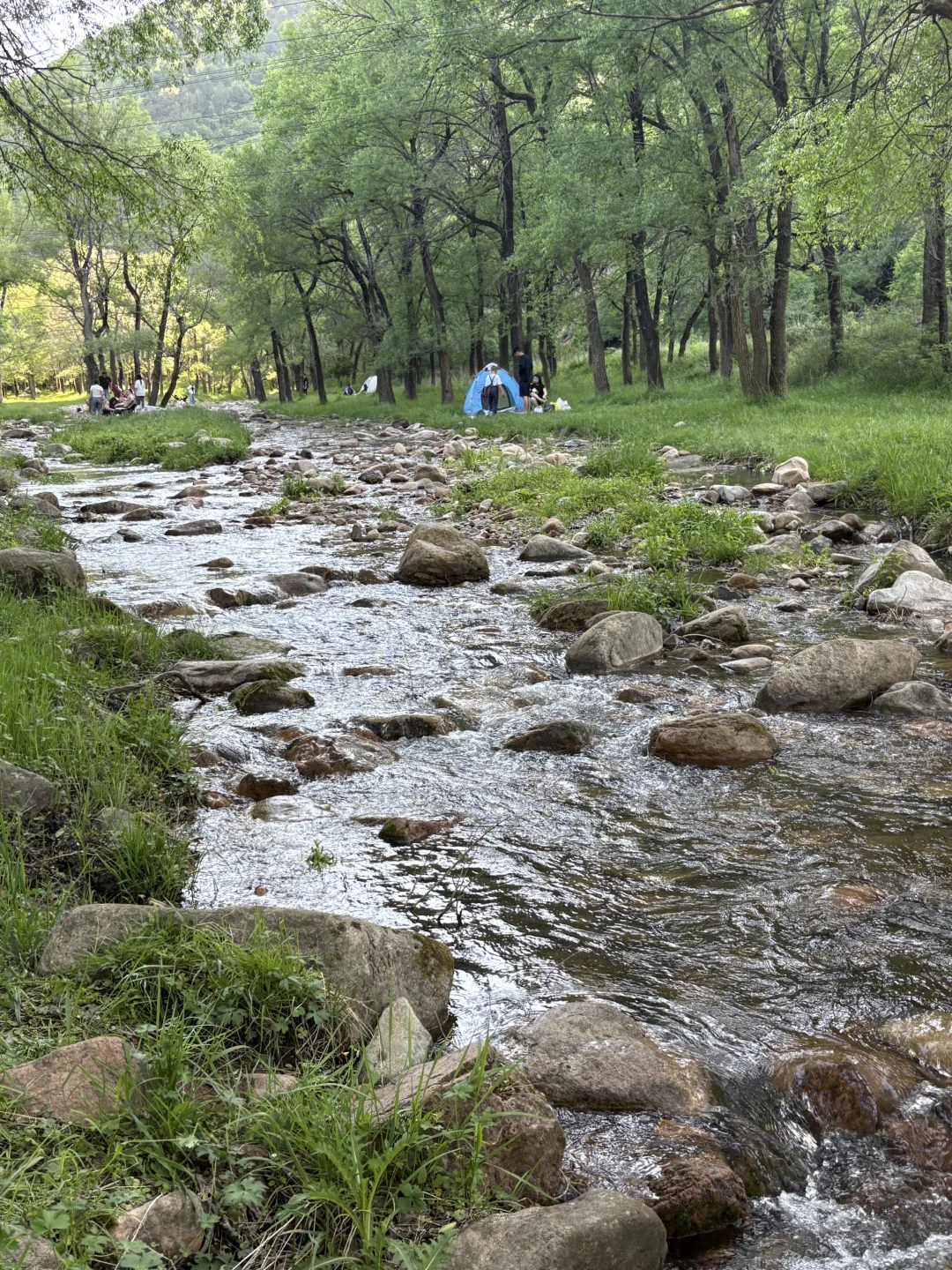 ✨周末逃离北京，去河北草原避暑度假被美哭