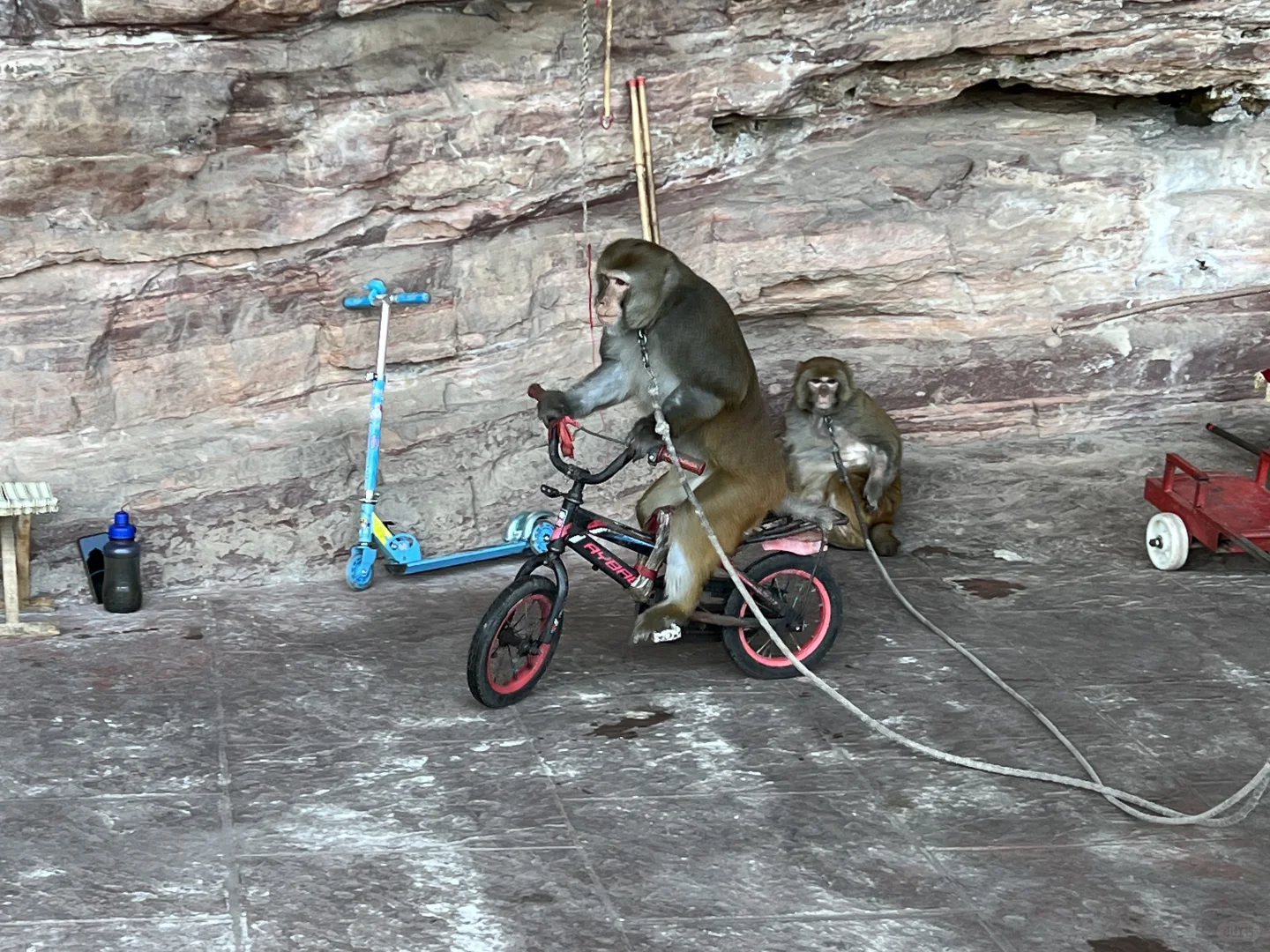 山东德州周边游-京娘湖美炸了！