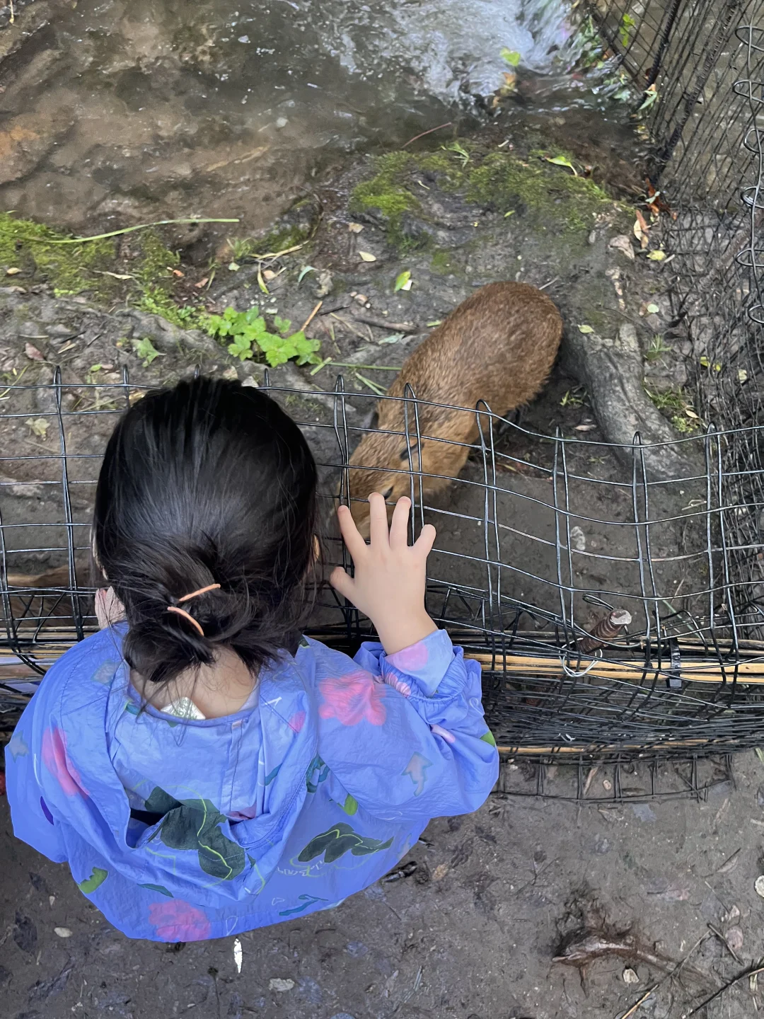 河南版“小云南”，玩水、避暑、遛娃全搞定❗️