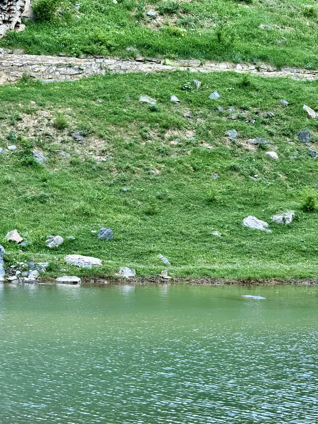 在阿勒泰？不！这是河南济源📍📍