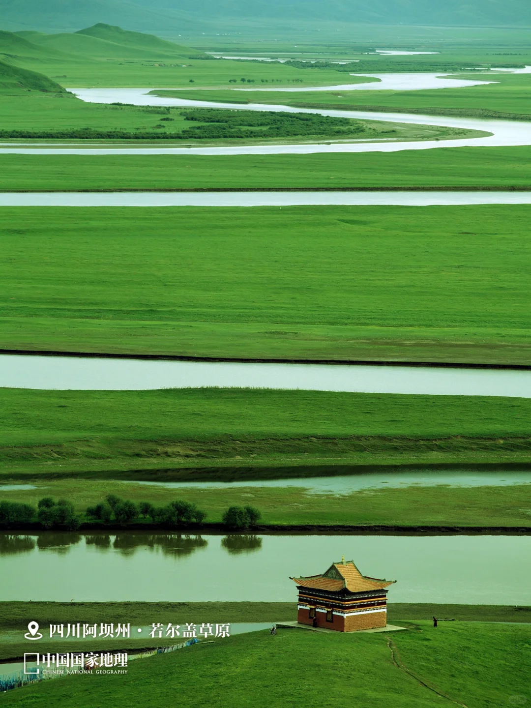 8月，应该去哪儿玩？