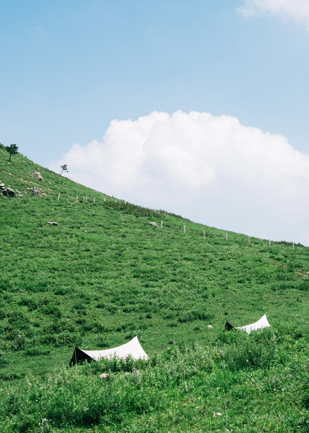 📍邯郸周边游｜走马槽