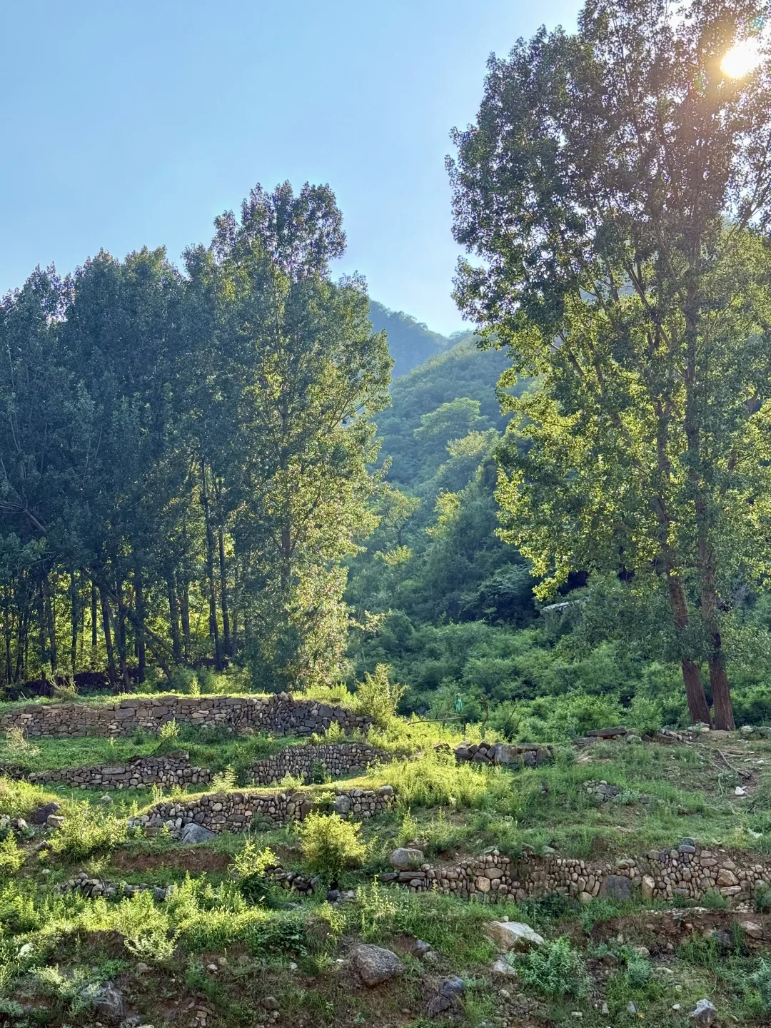 在阿勒泰？不！这是河南济源📍📍