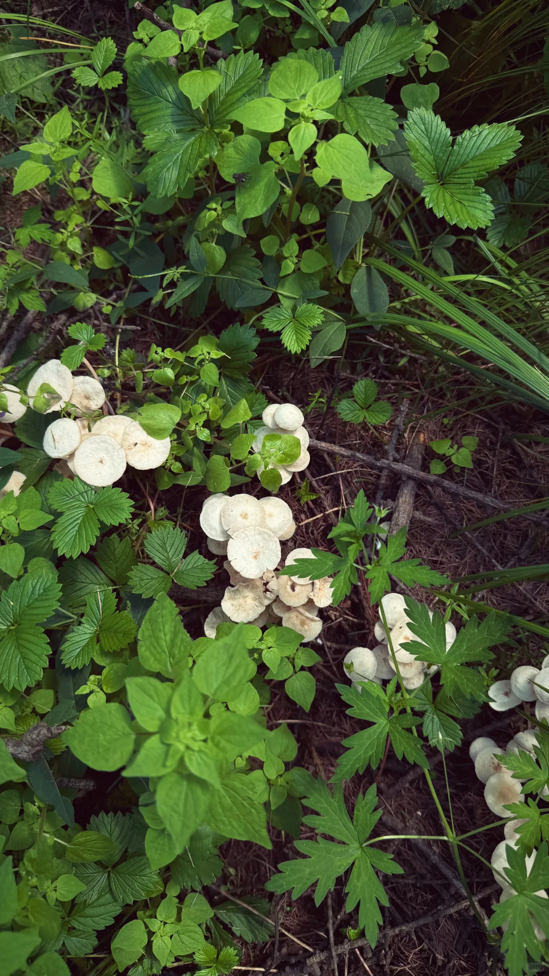 这么近 那么美 周末到河北⛰️