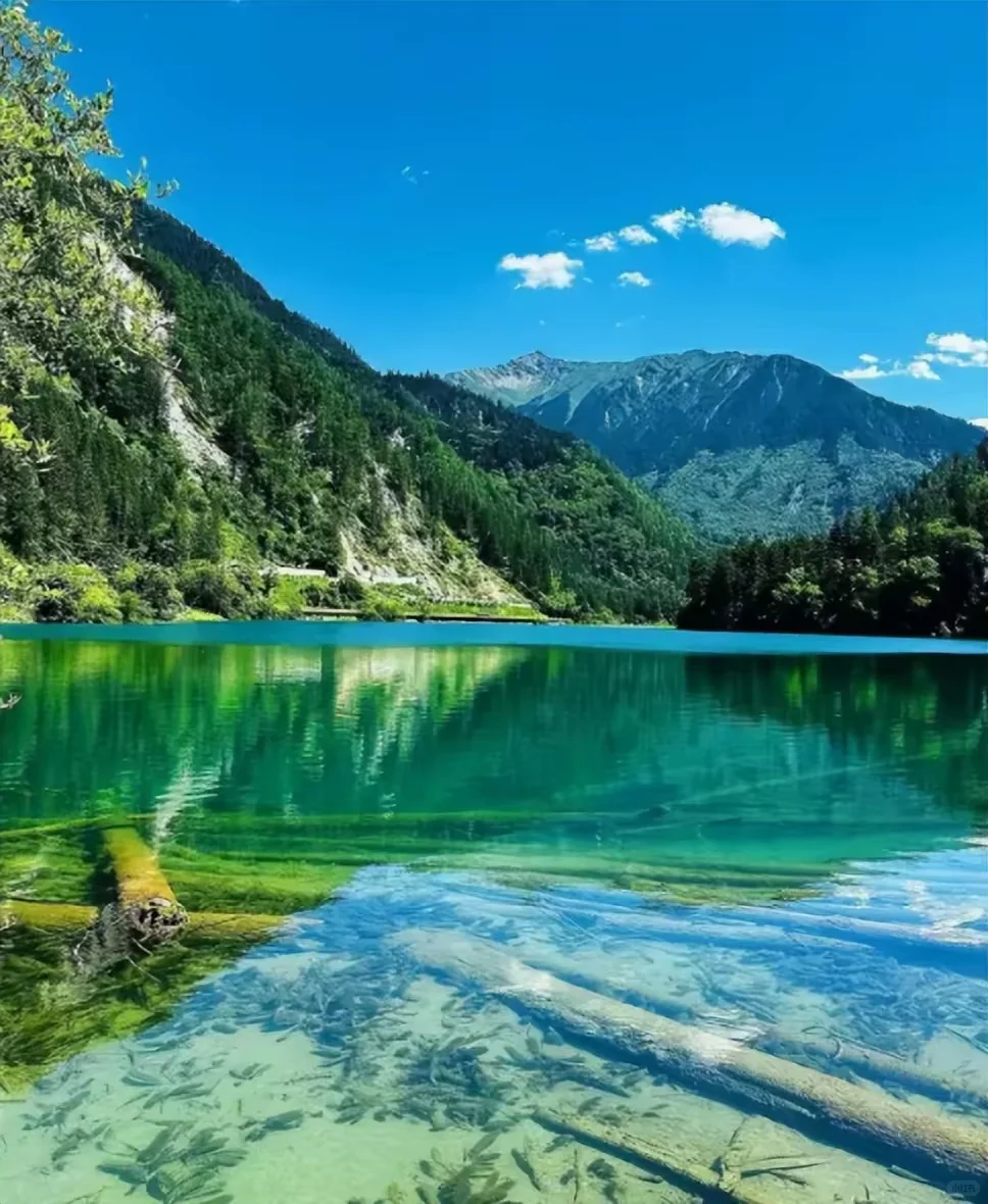 十大国内旅游必去天花板，你去过几个呢?