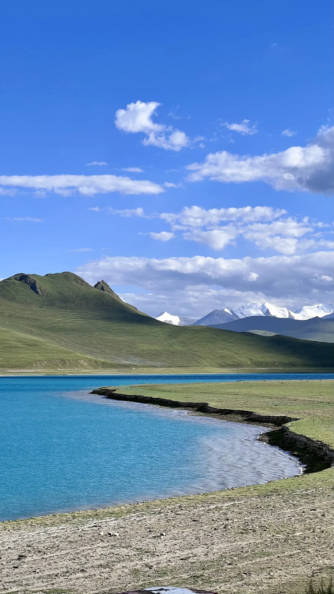 浅聊一下国内风景top4