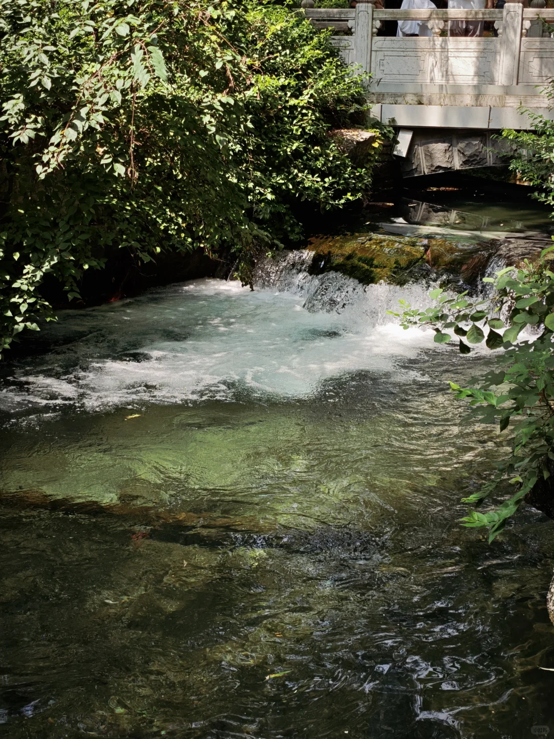 济南一日游记🌸🌸