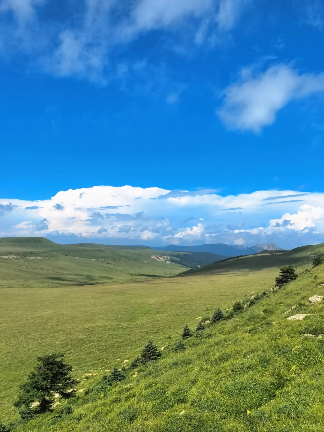 🌿忻州4日游，意外邂逅的避暑天堂！