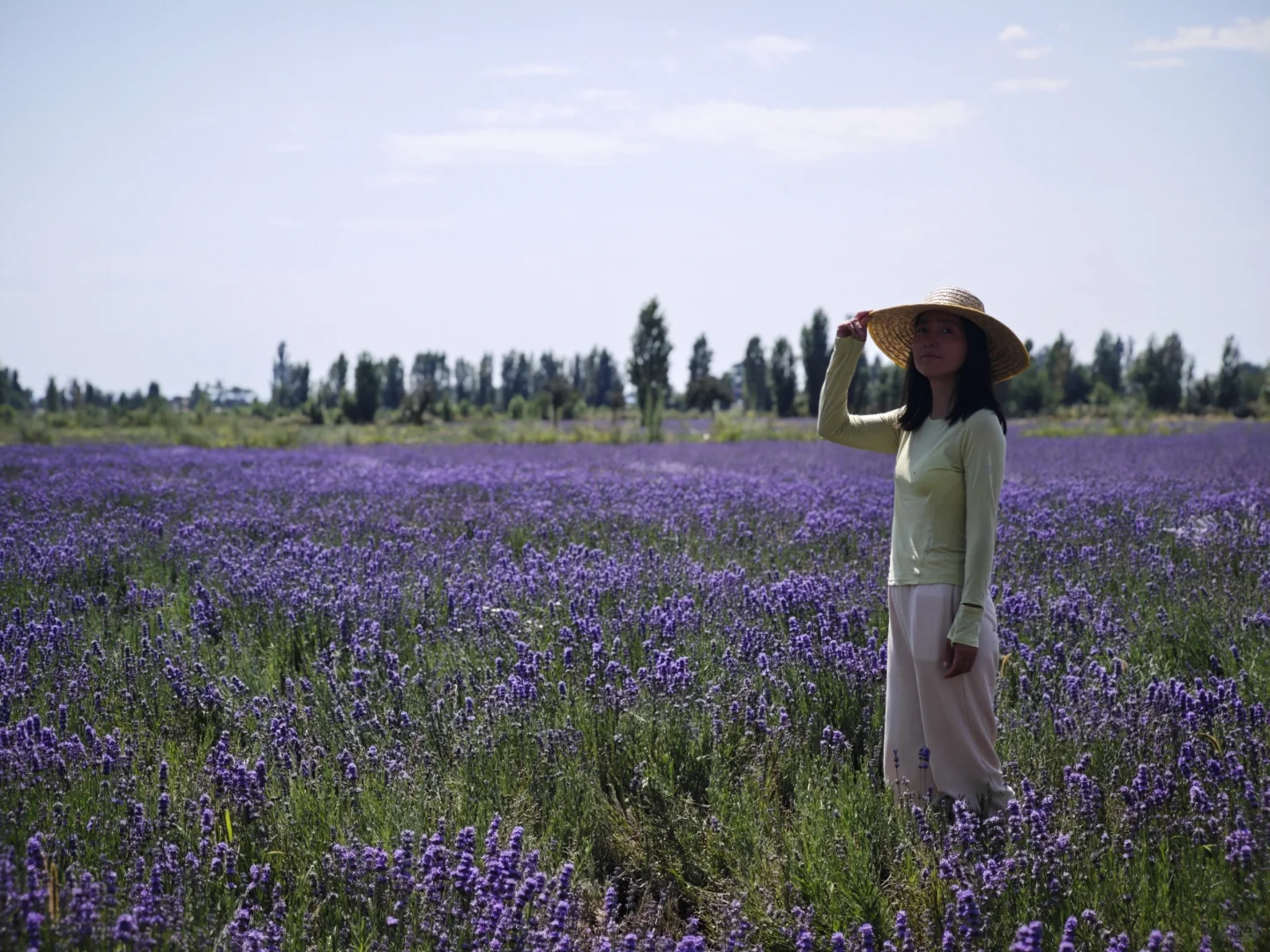 乌孙古道徒步2025年7月底
