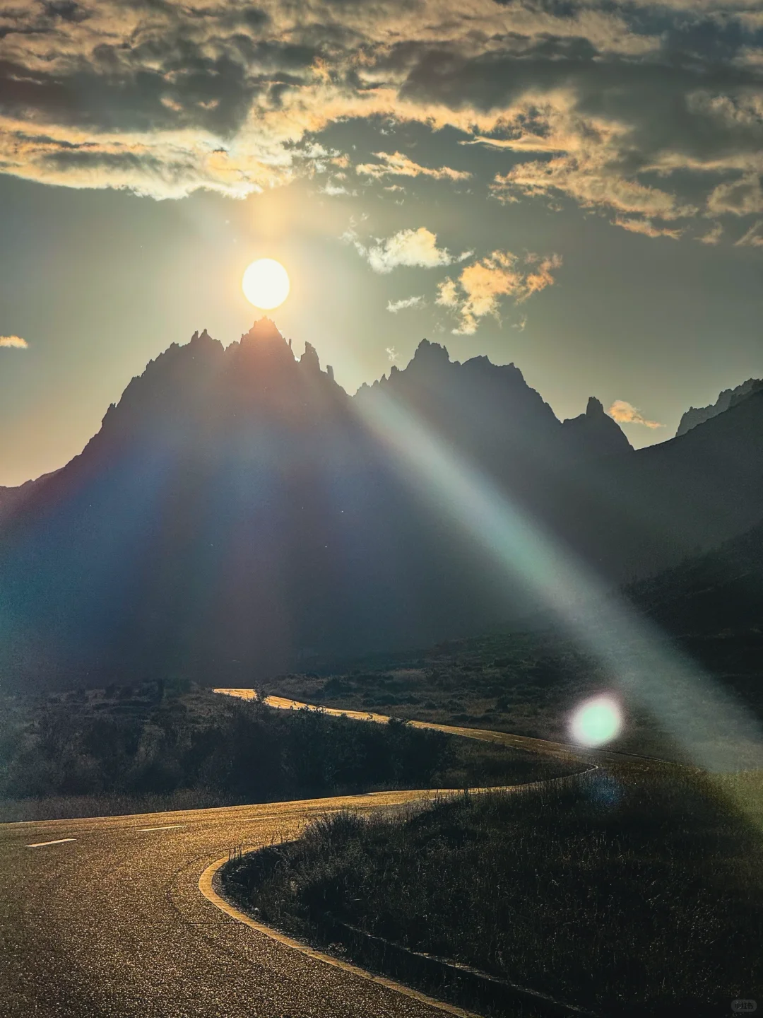 一天经历了莲宝叶则春夏秋冬