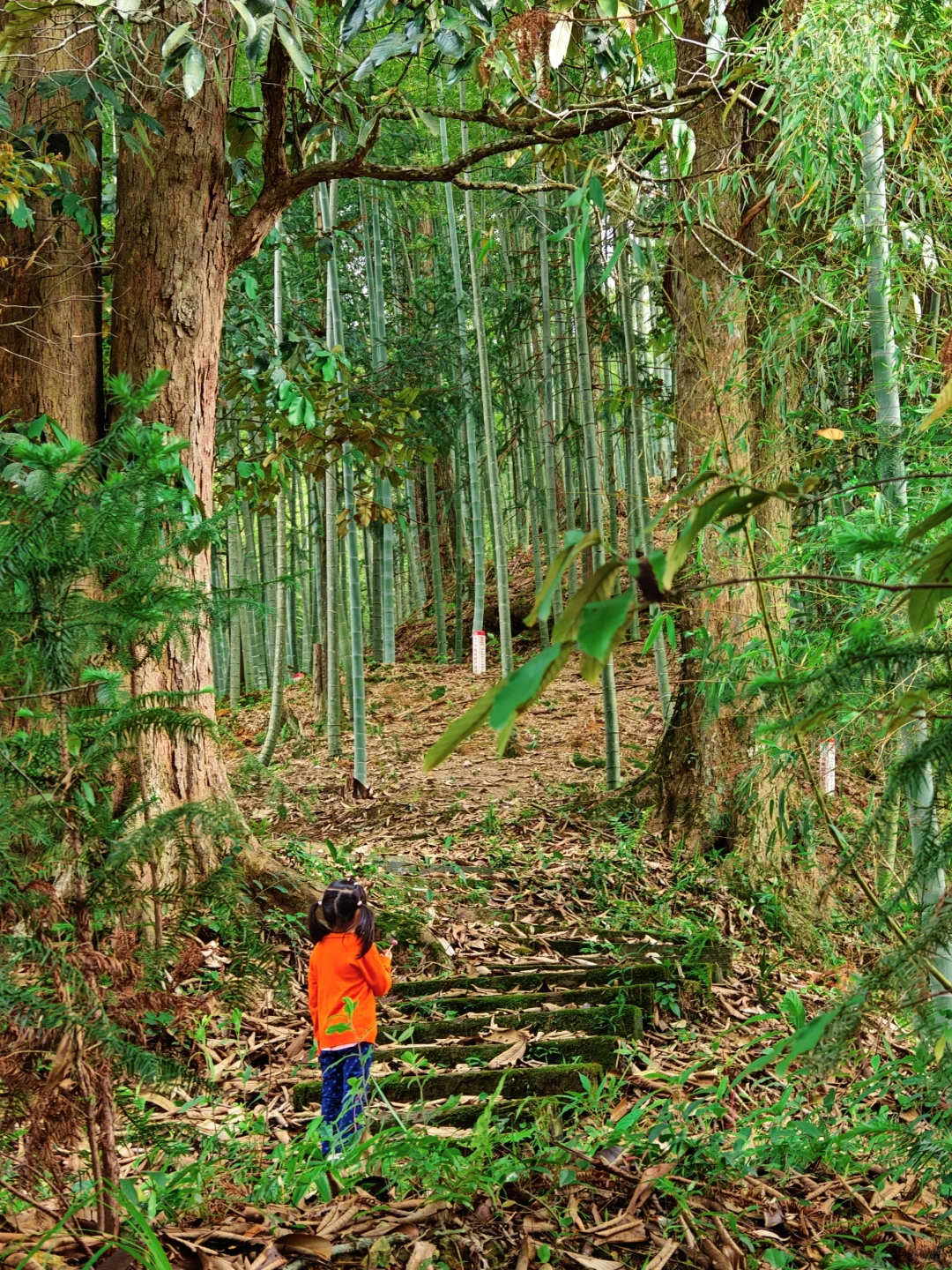推荐一个超级冷门但好玩到起飞的亲子游路线