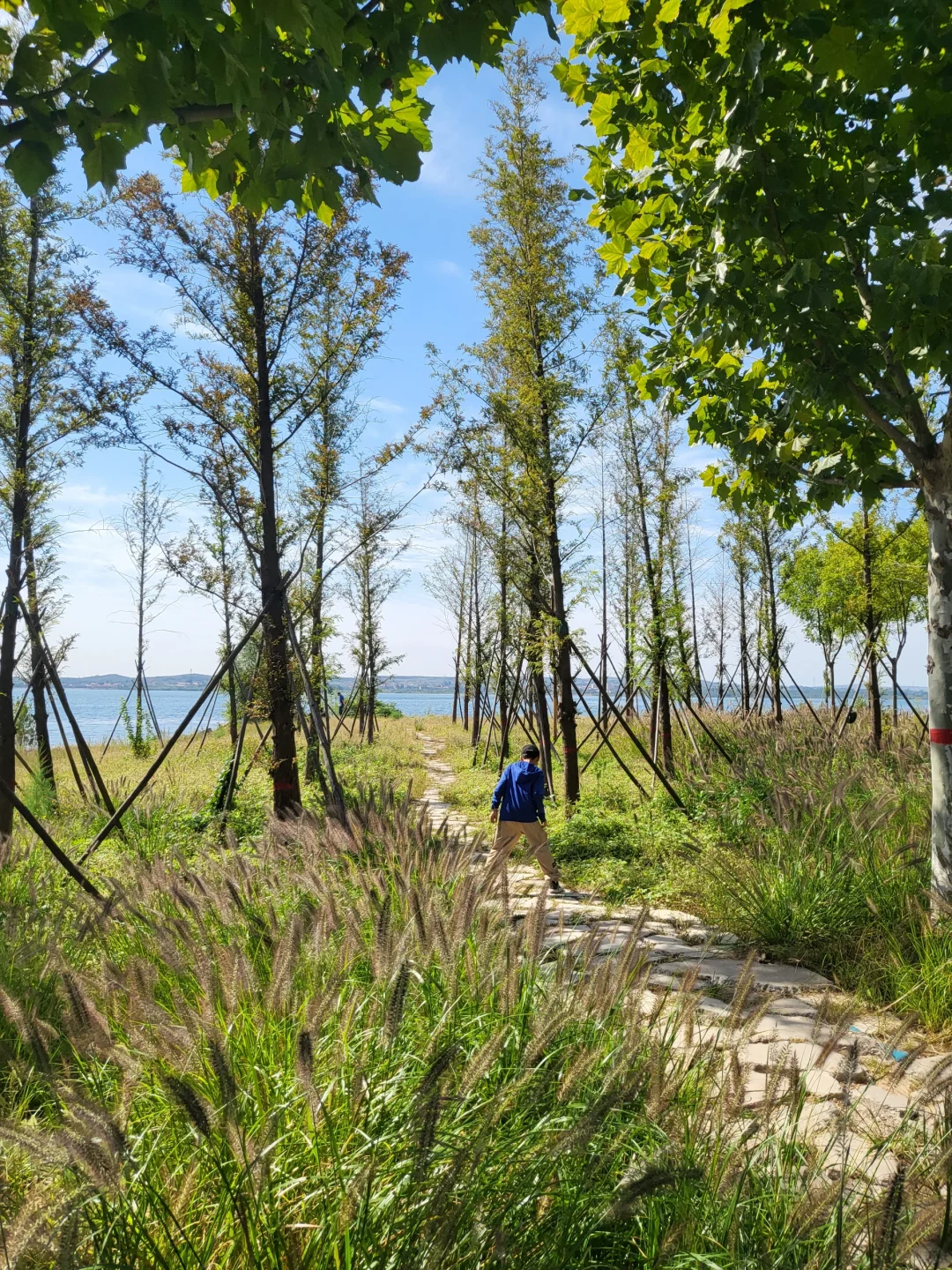 避开人流来这里～邯郸溢泉湖环湖美景