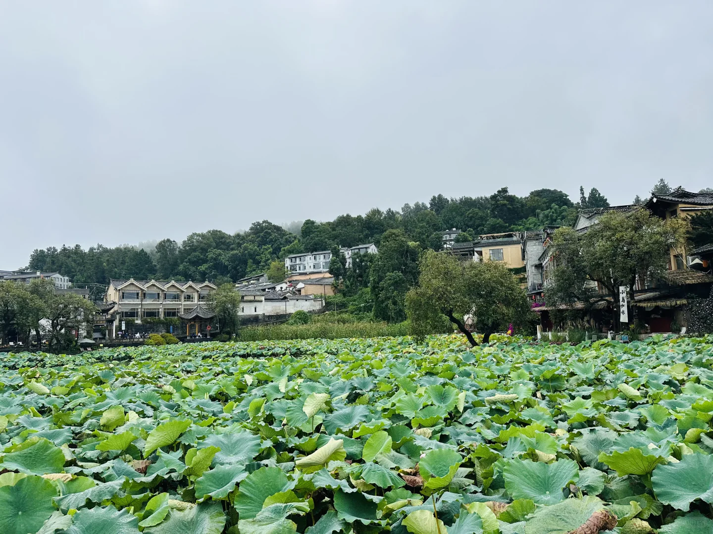 和顺古镇🎫🙅‍♀️🙅‍♀️