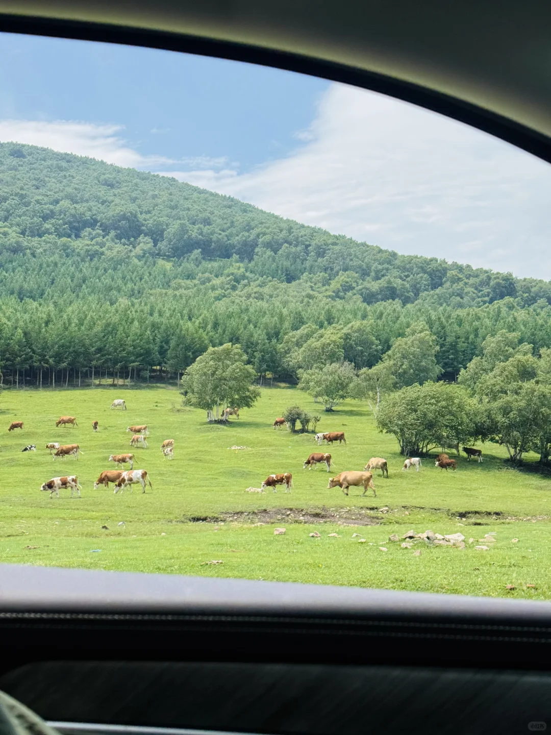 丰宁，半虎线（免费版）