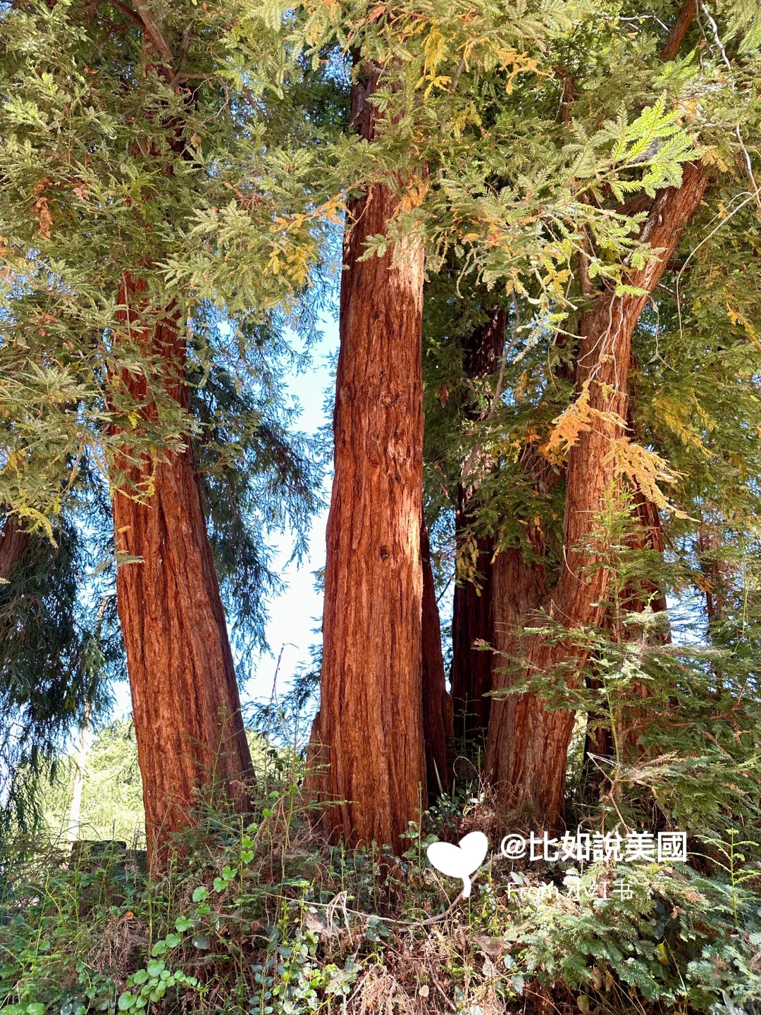 小莊園Shinn Historical Park|Fremont景點