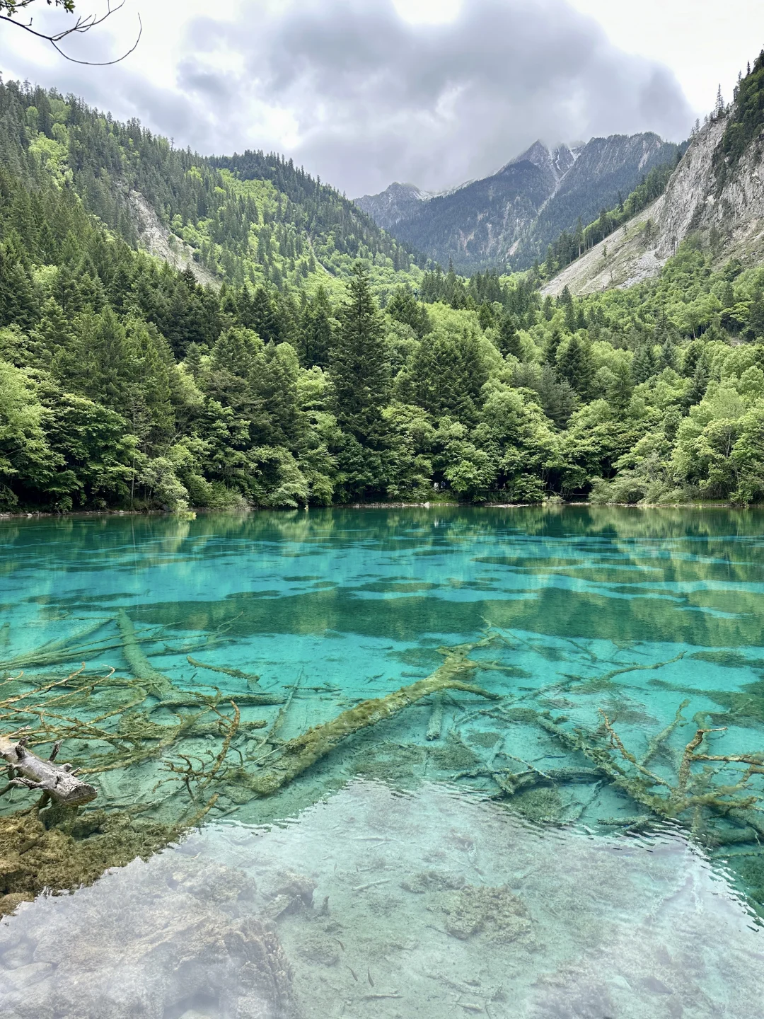 💥35 元直达九寨沟！高铁党自由行看过来！