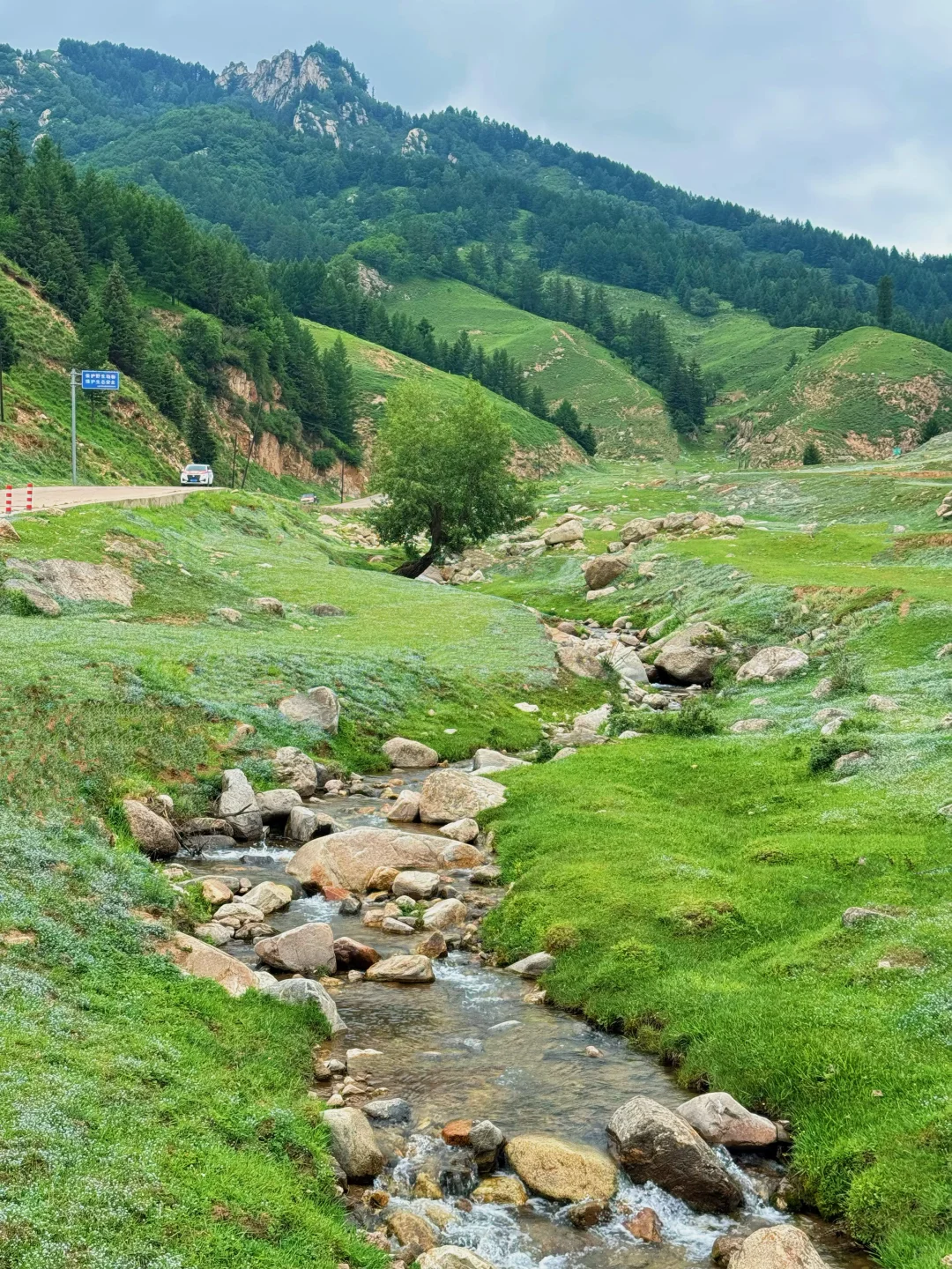 新线❗️西安3天2晚✅仿若“新疆那拉提”好凉快！