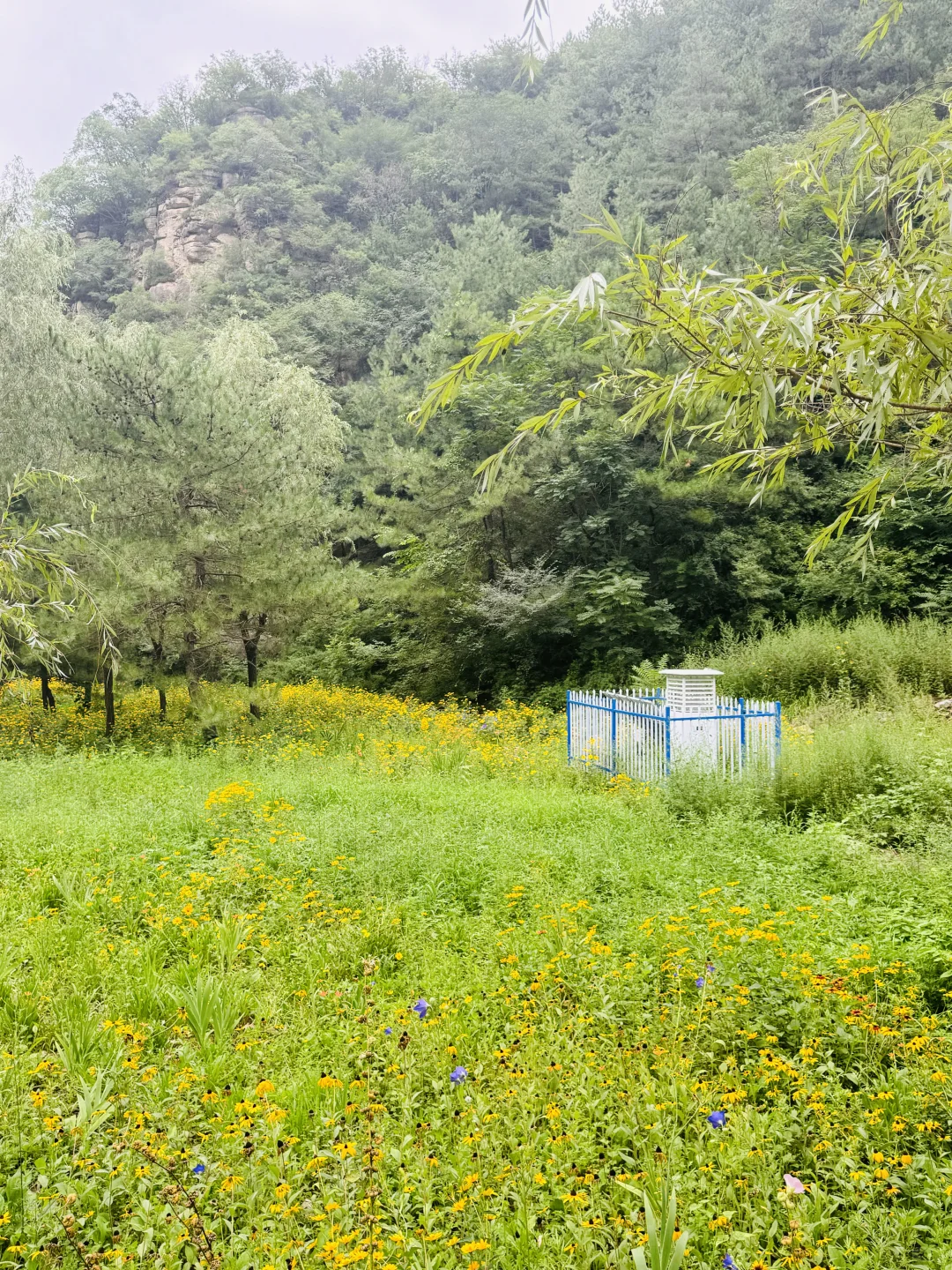 🚗石家庄沕沕水 | 周末溜达好去处