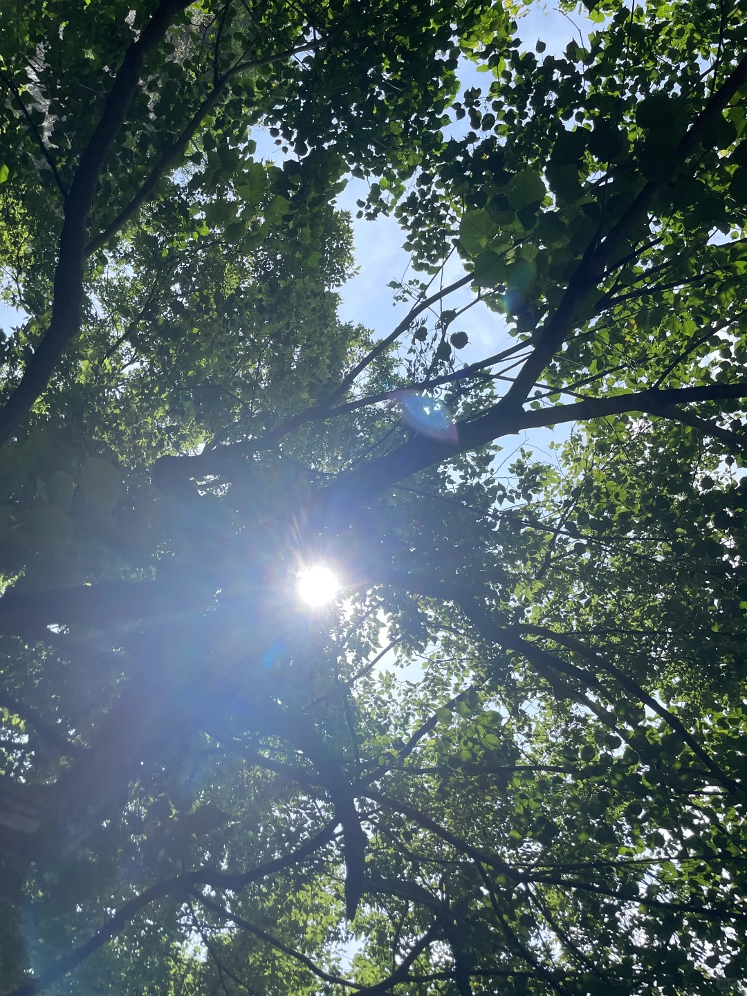 看图猜景点（柳州版）