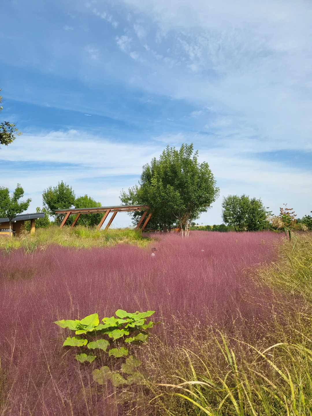 避开人流来这里～邯郸溢泉湖环湖美景