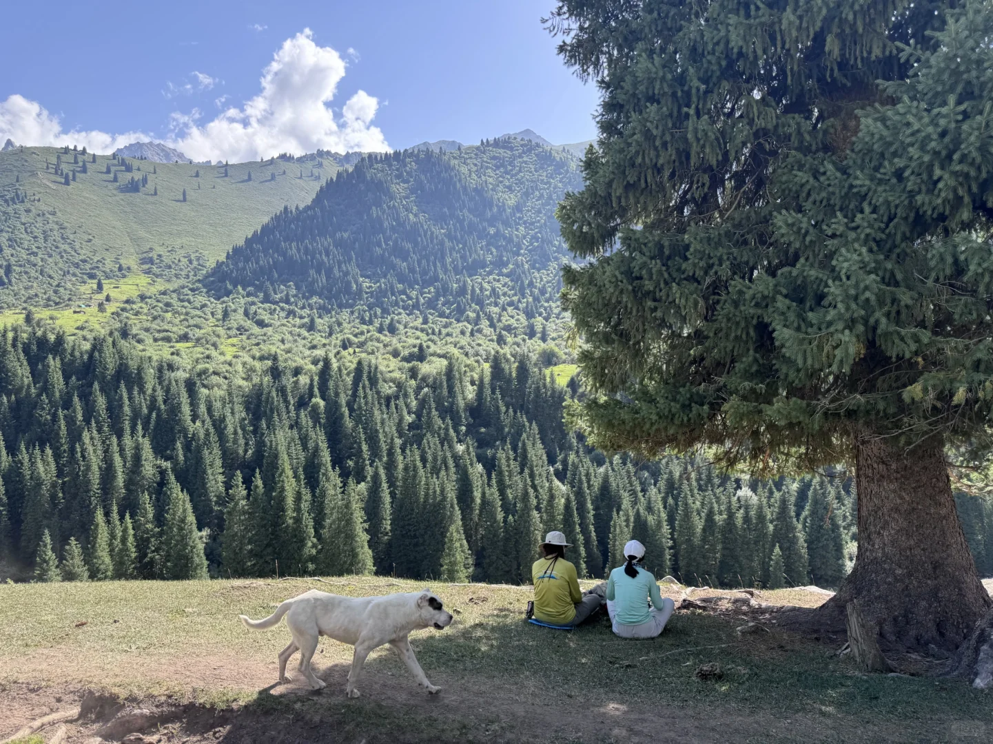 乌孙古道徒步2025年7月底