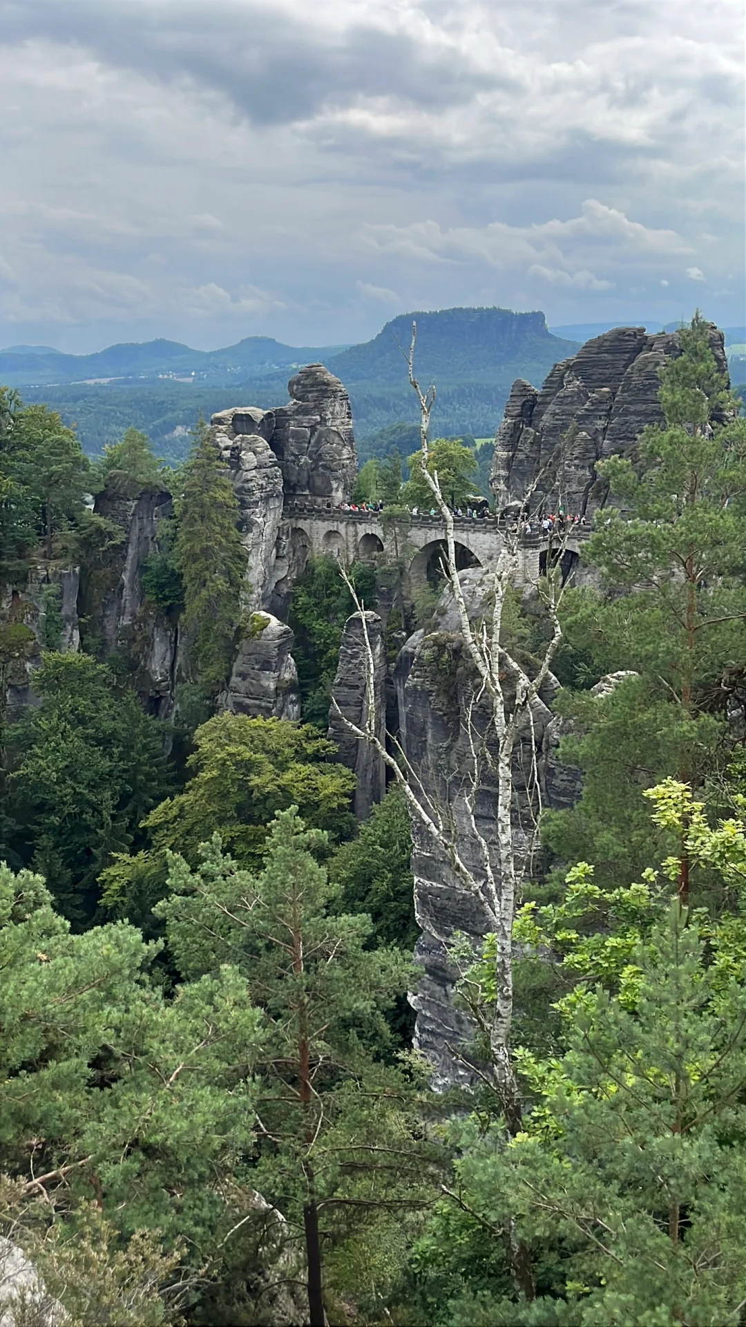 🇩🇪 德国“张家界”？德累斯顿Basteibrücke