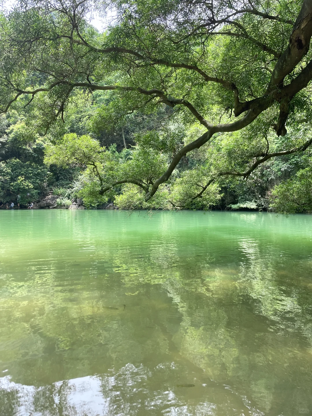看图猜景点（柳州版）
