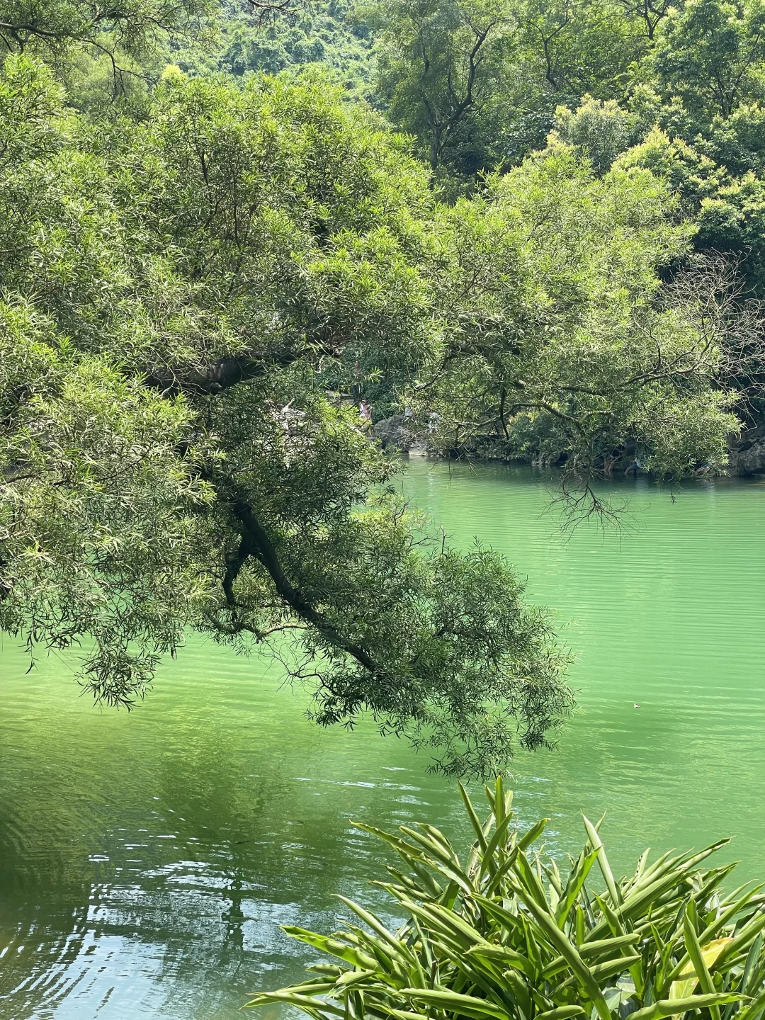 看图猜景点（柳州版）