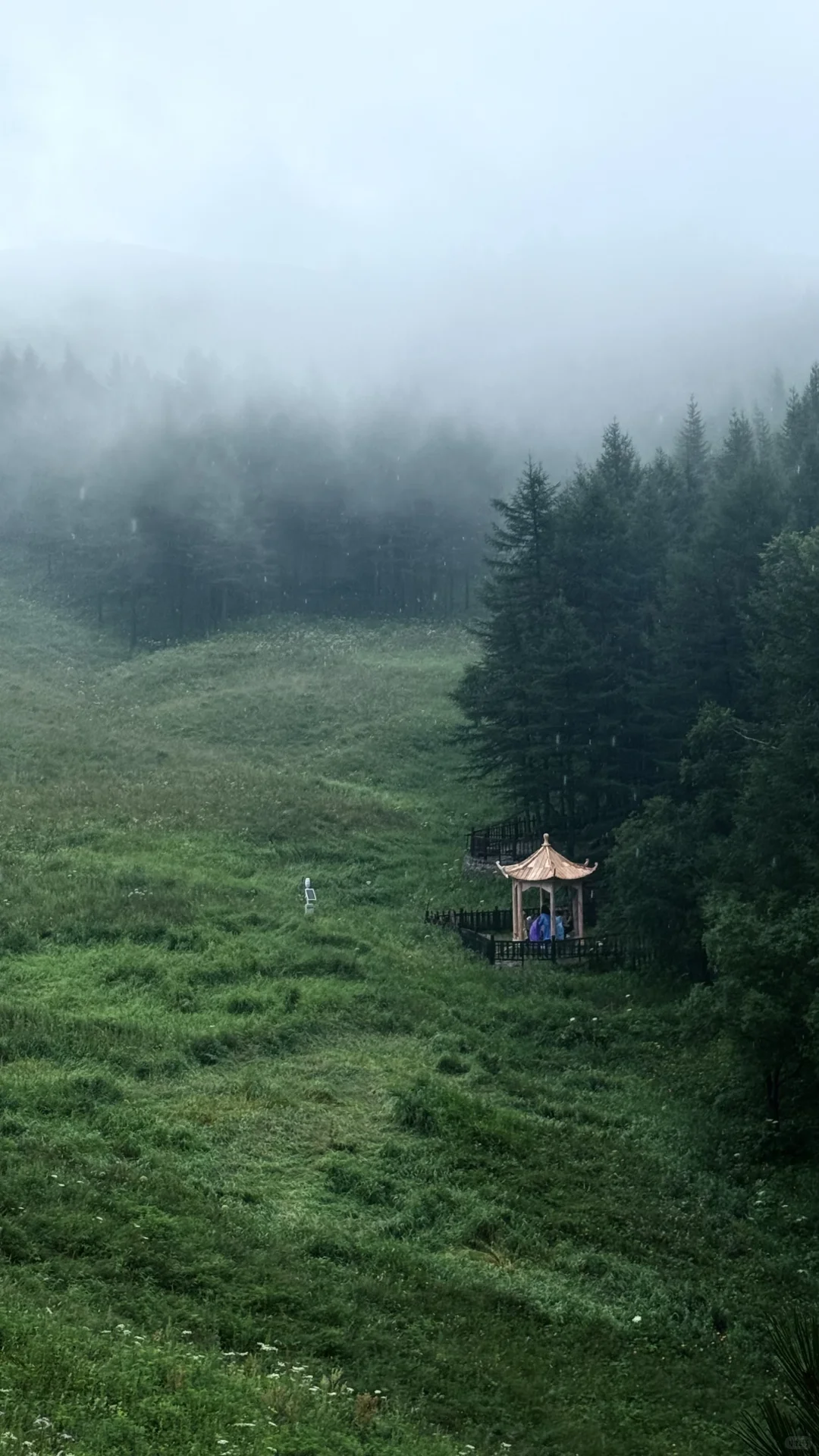 驼梁好美，还想再来！