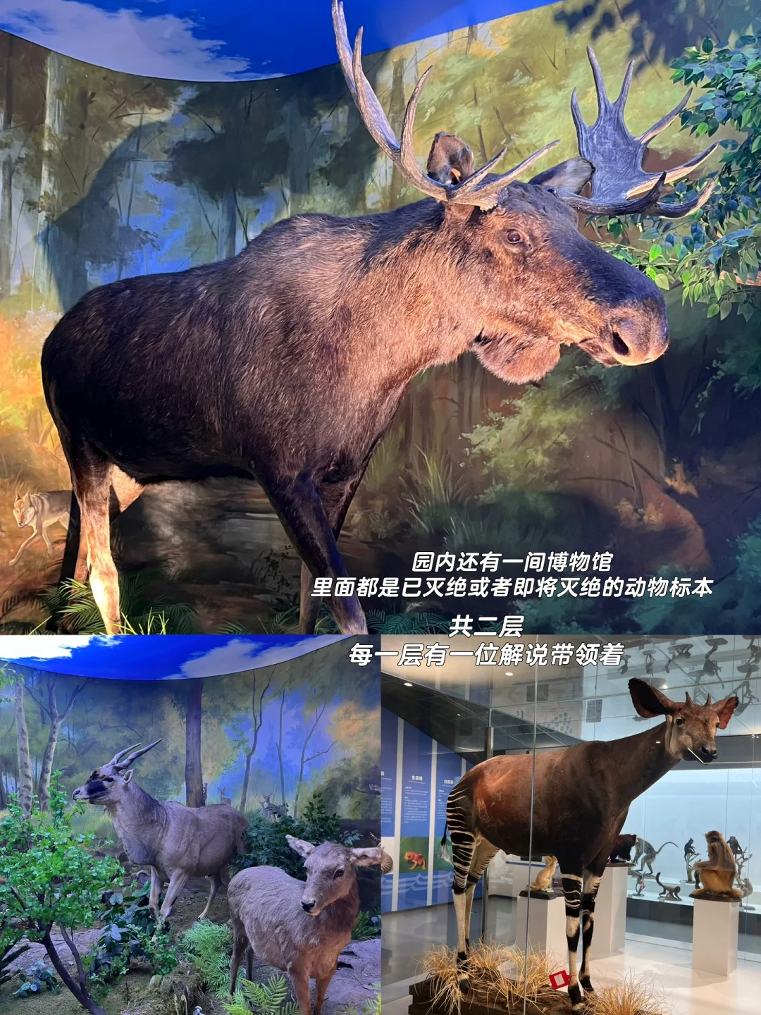 因为东湖 爱上武汉